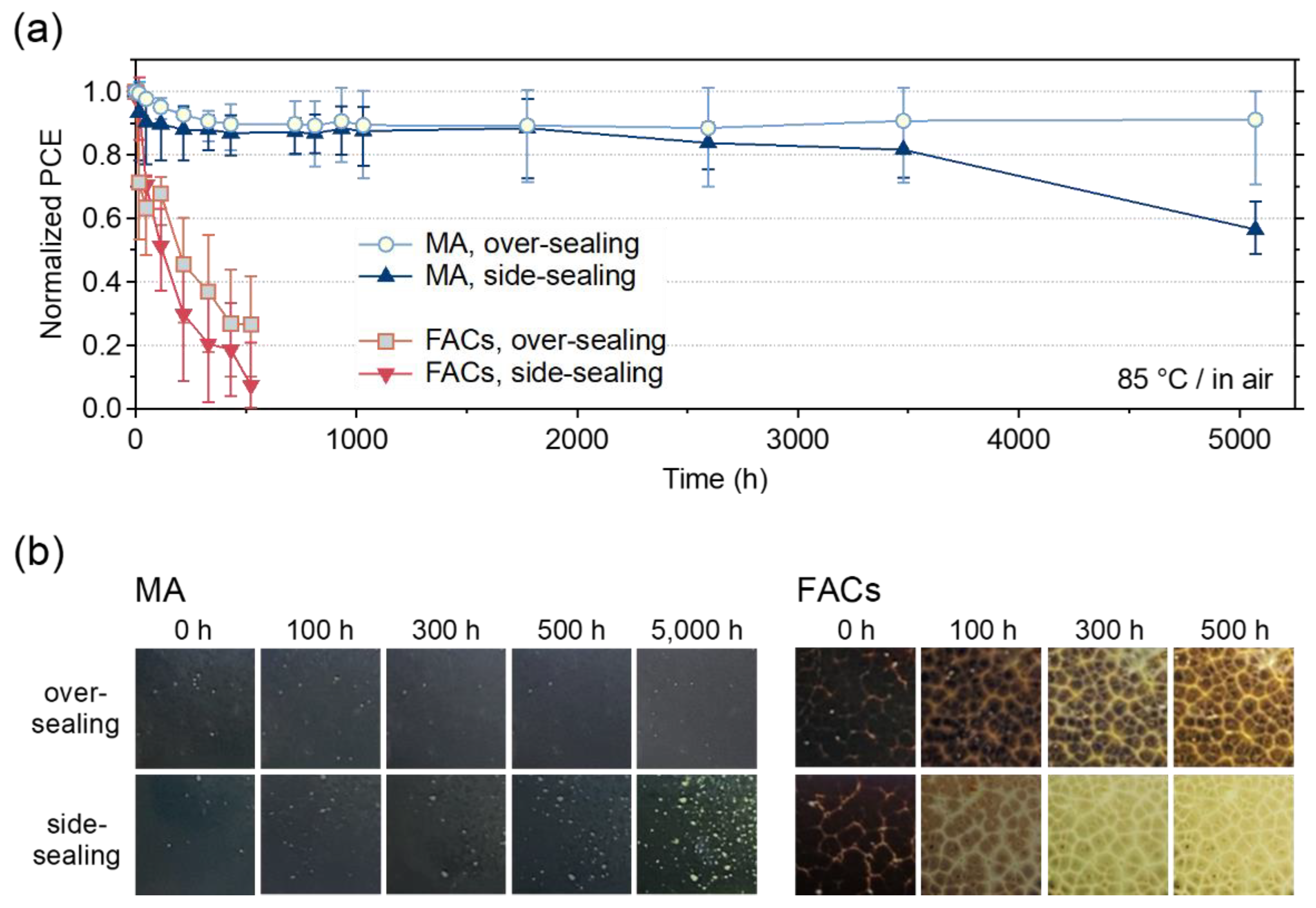 Preprints 107007 g004