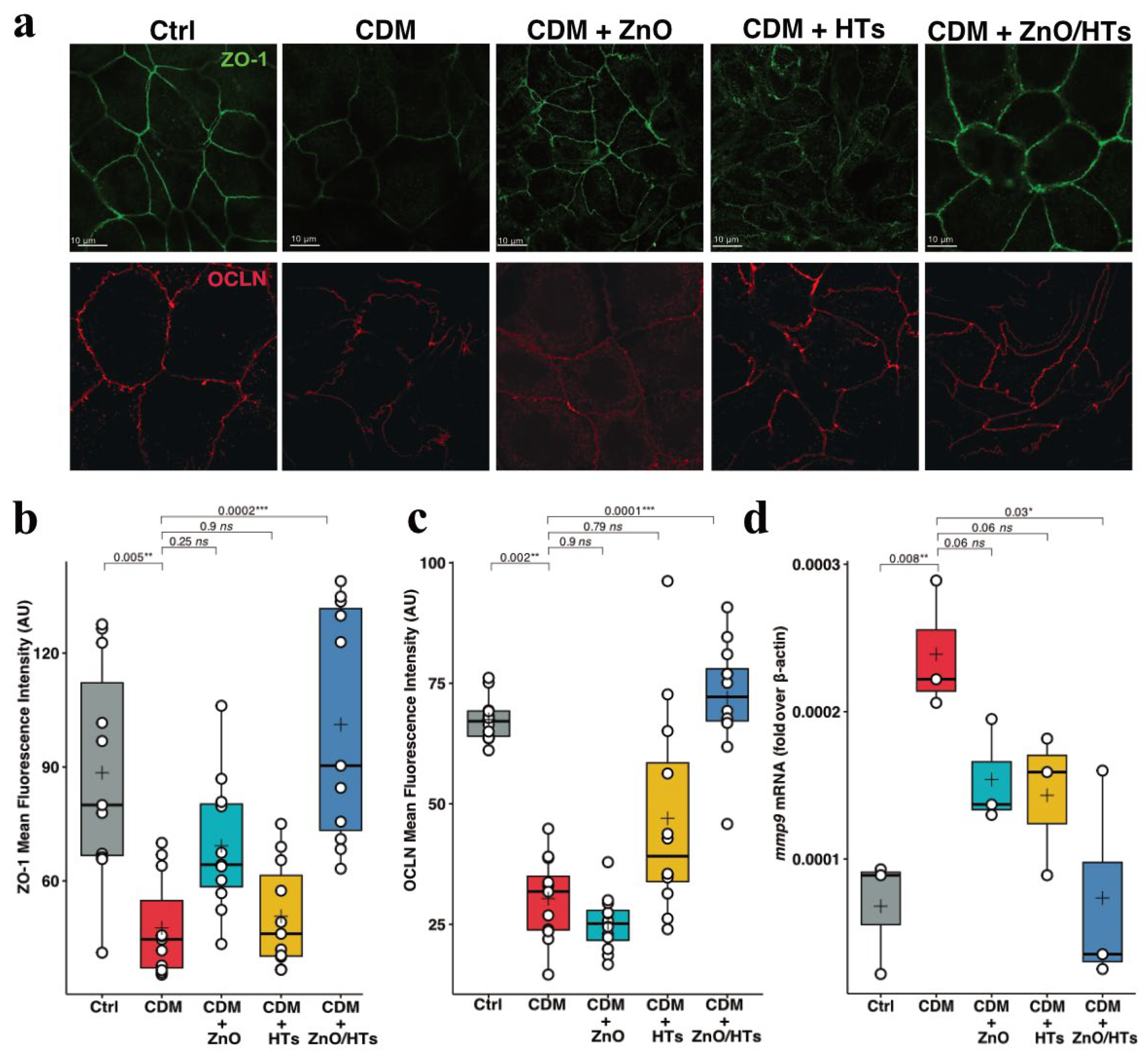 Preprints 105957 g005