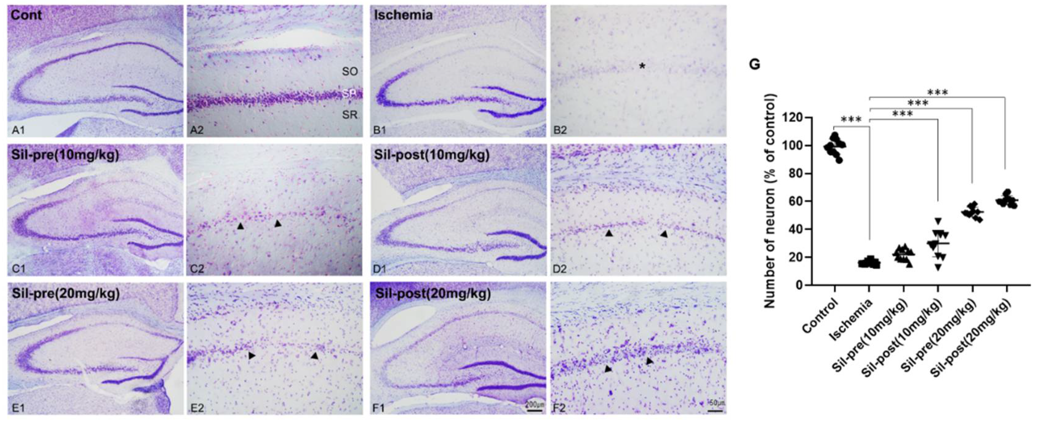 Preprints 107055 g001