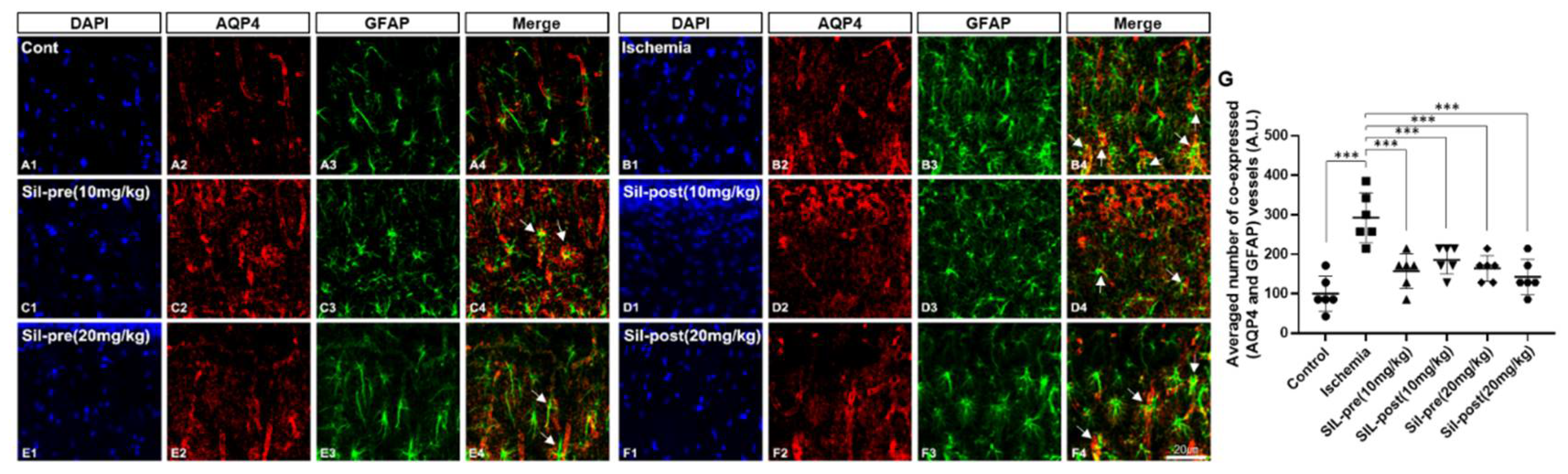 Preprints 107055 g002