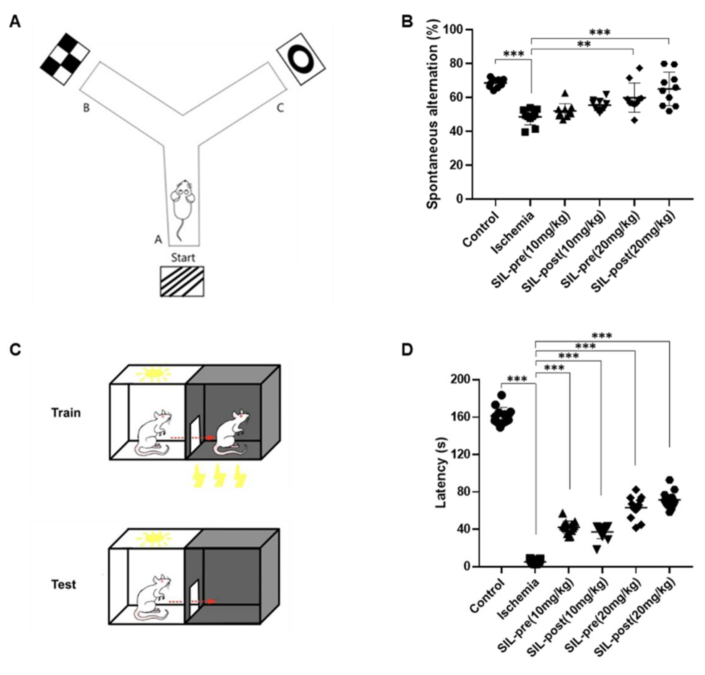 Preprints 107055 g006