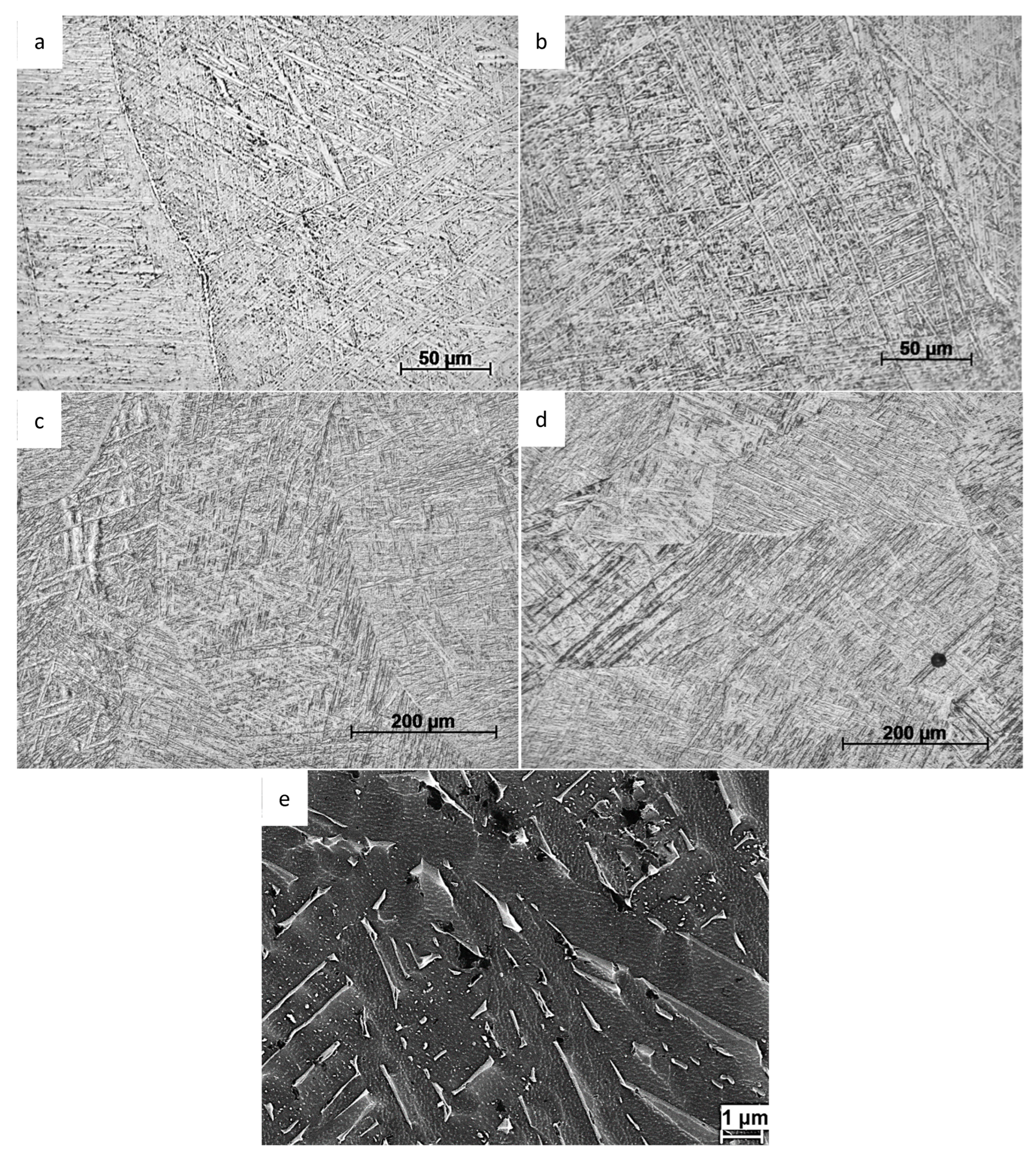 Preprints 95213 g003