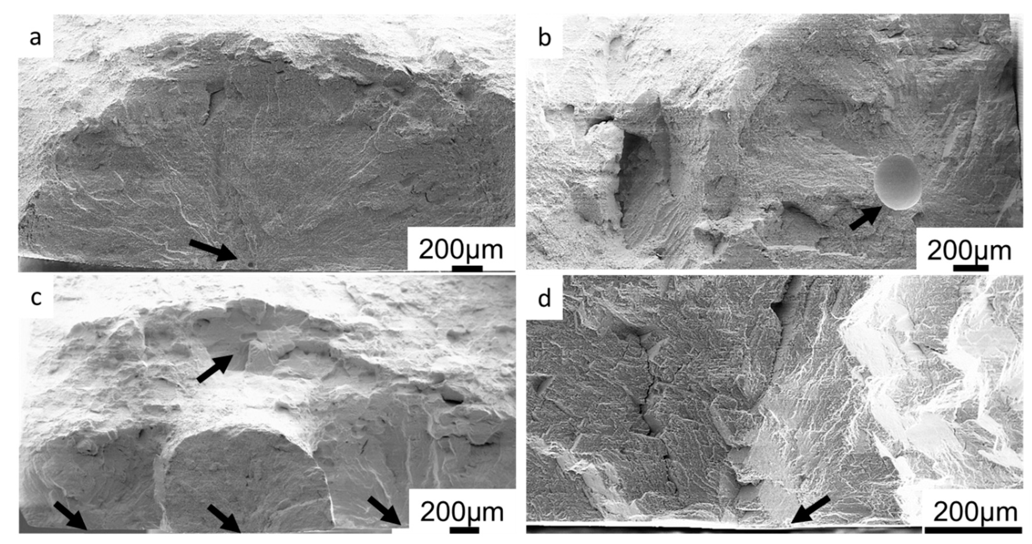 Preprints 95213 g009