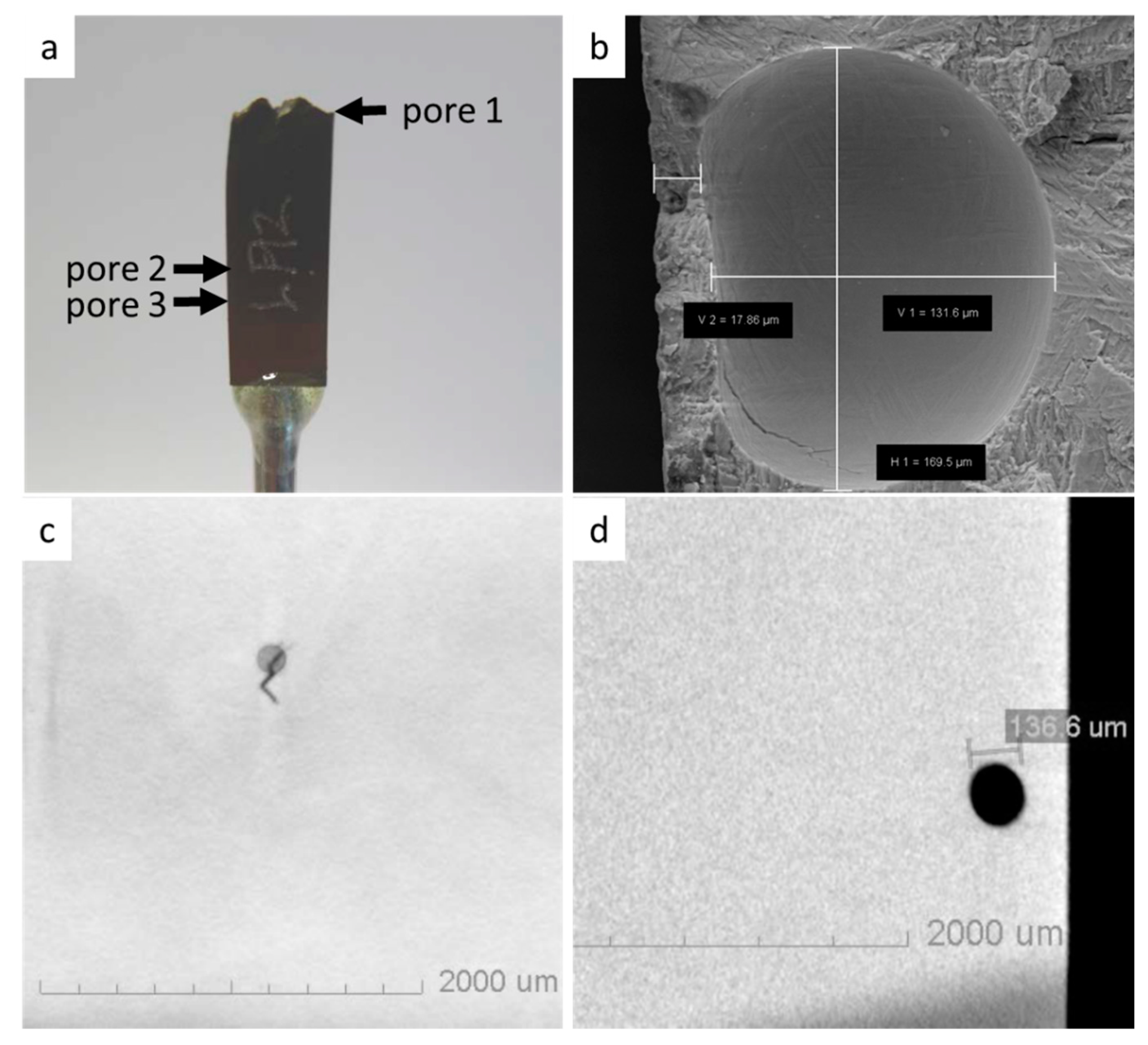 Preprints 95213 g011