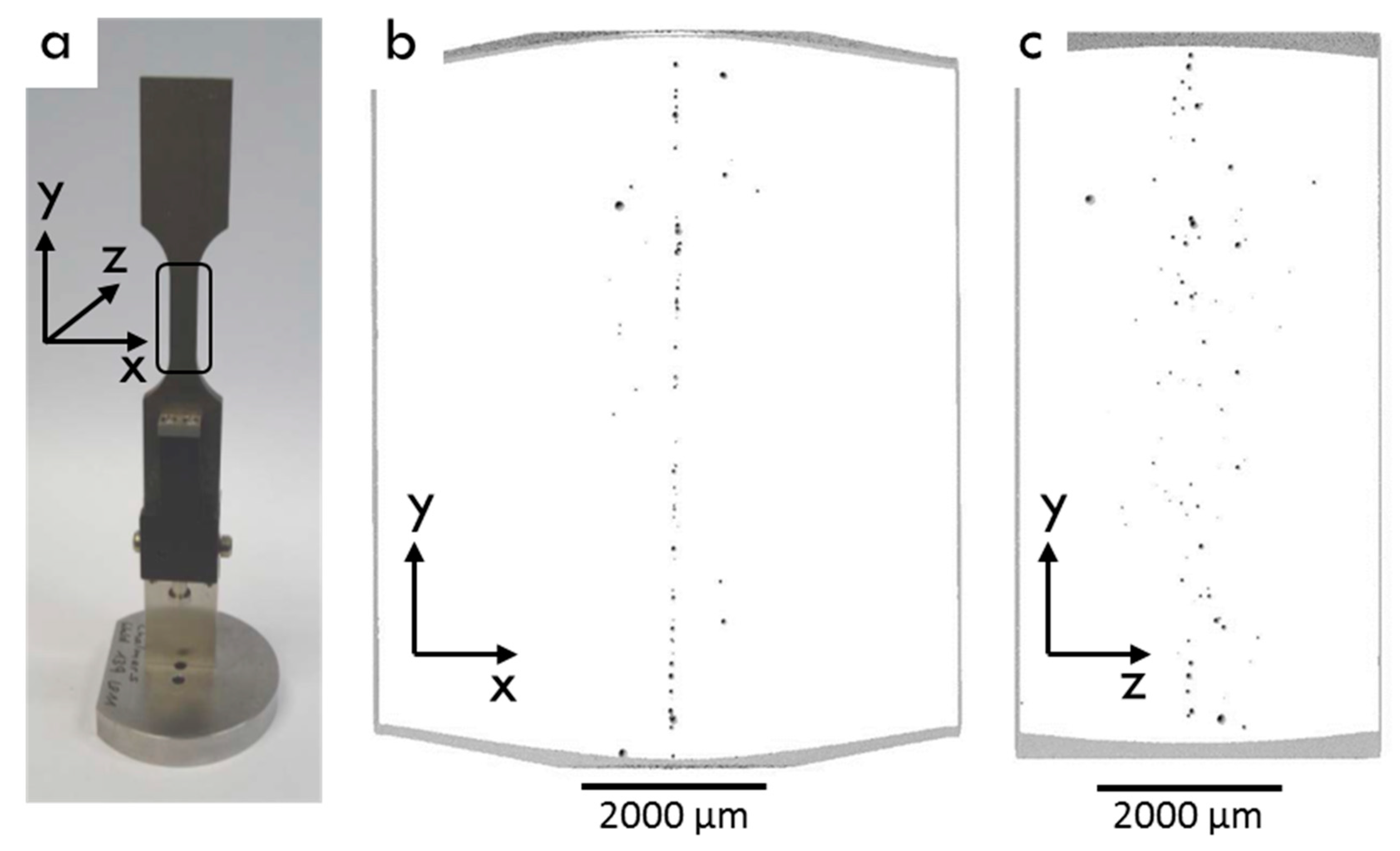 Preprints 95213 g012