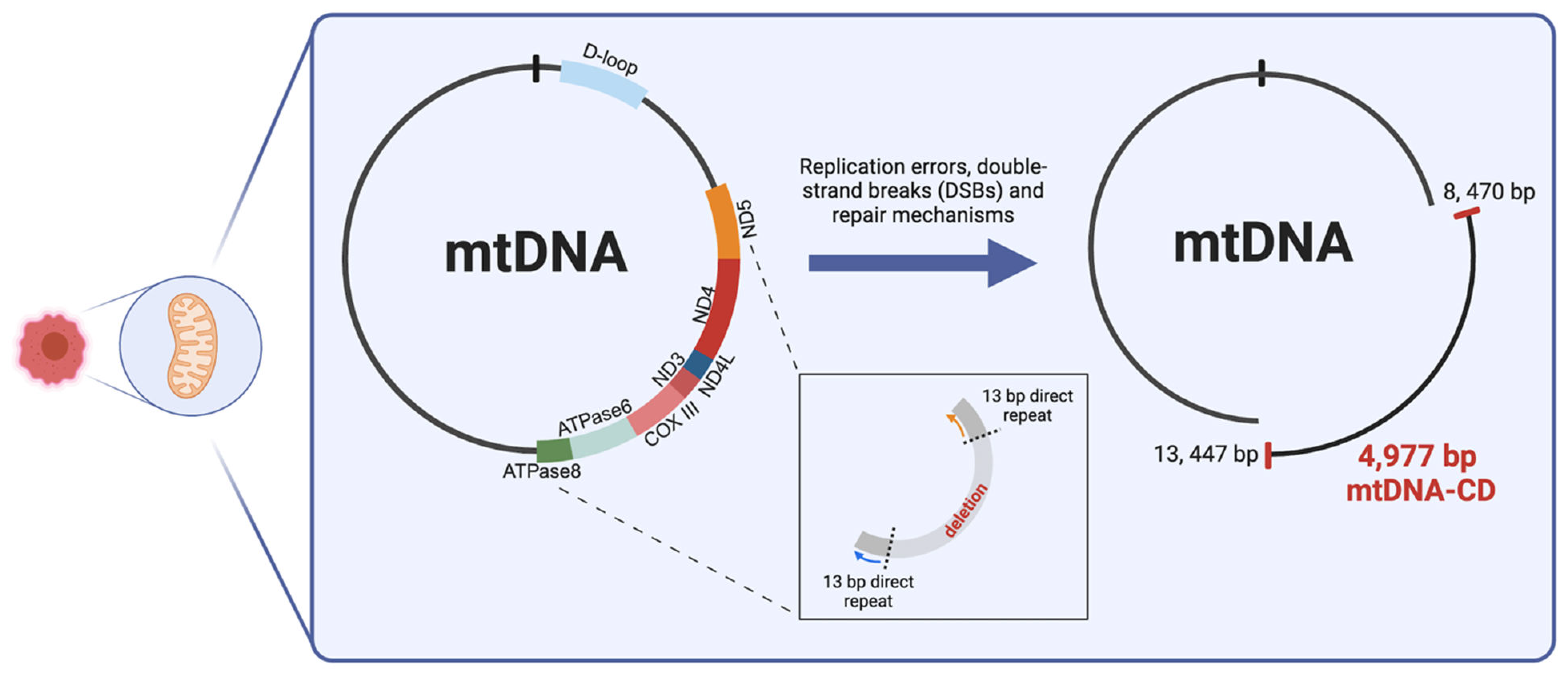 Preprints 140953 g001