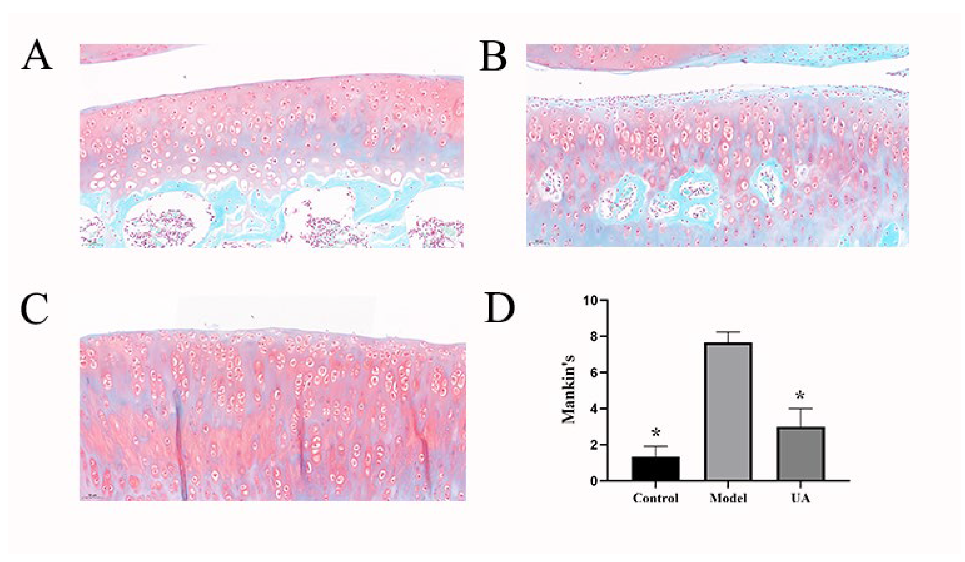 Preprints 95427 g001