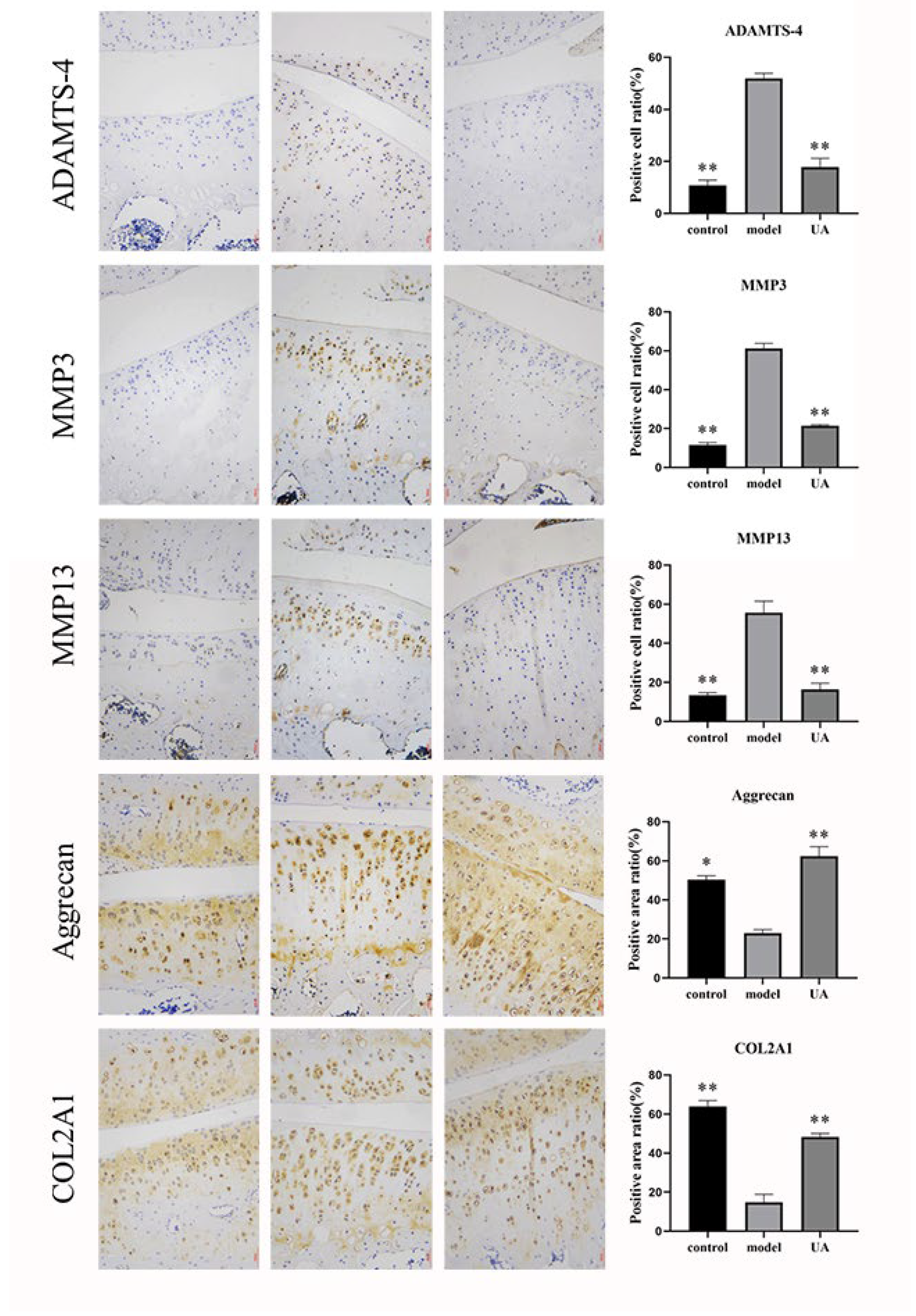 Preprints 95427 g002