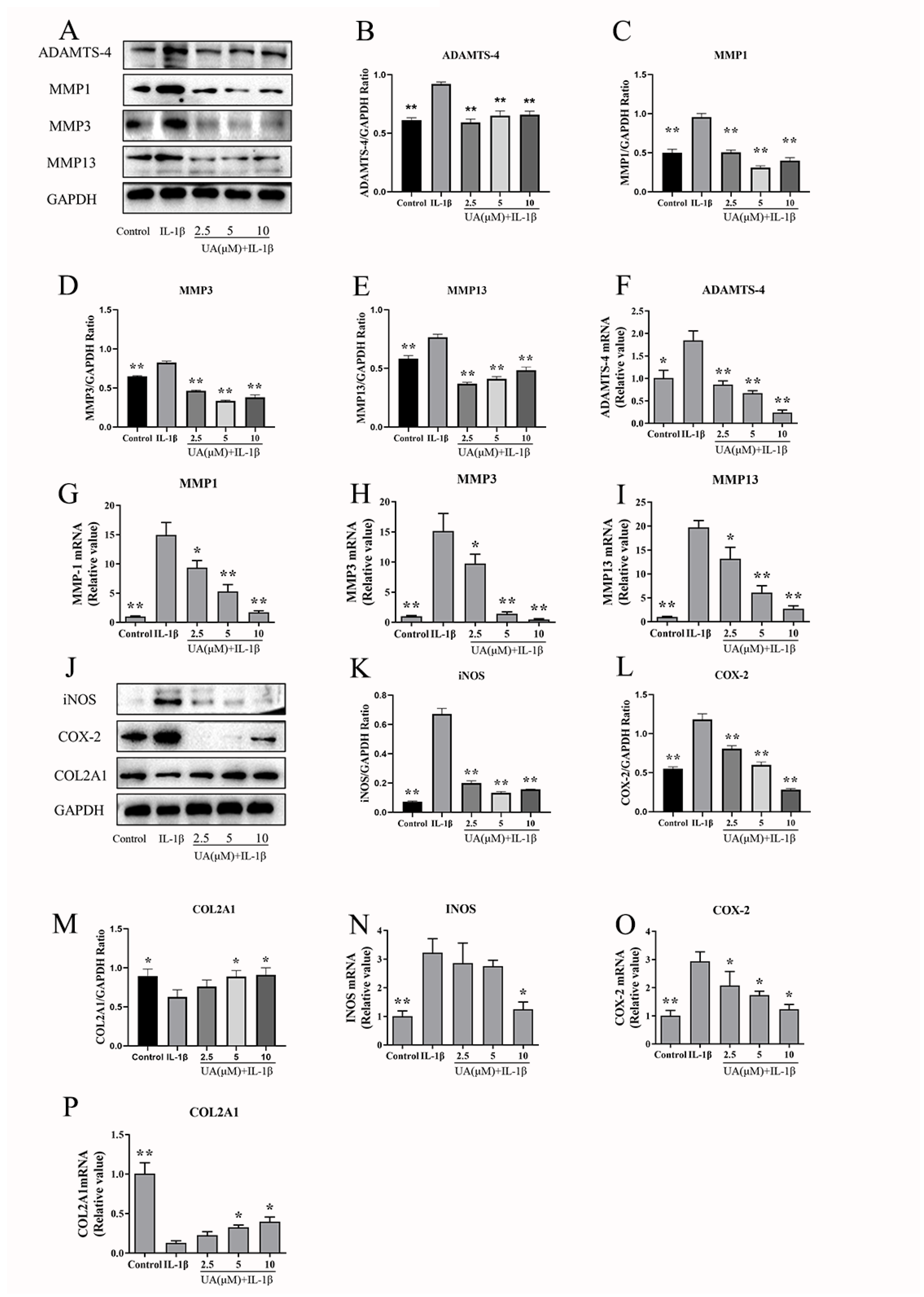 Preprints 95427 g005