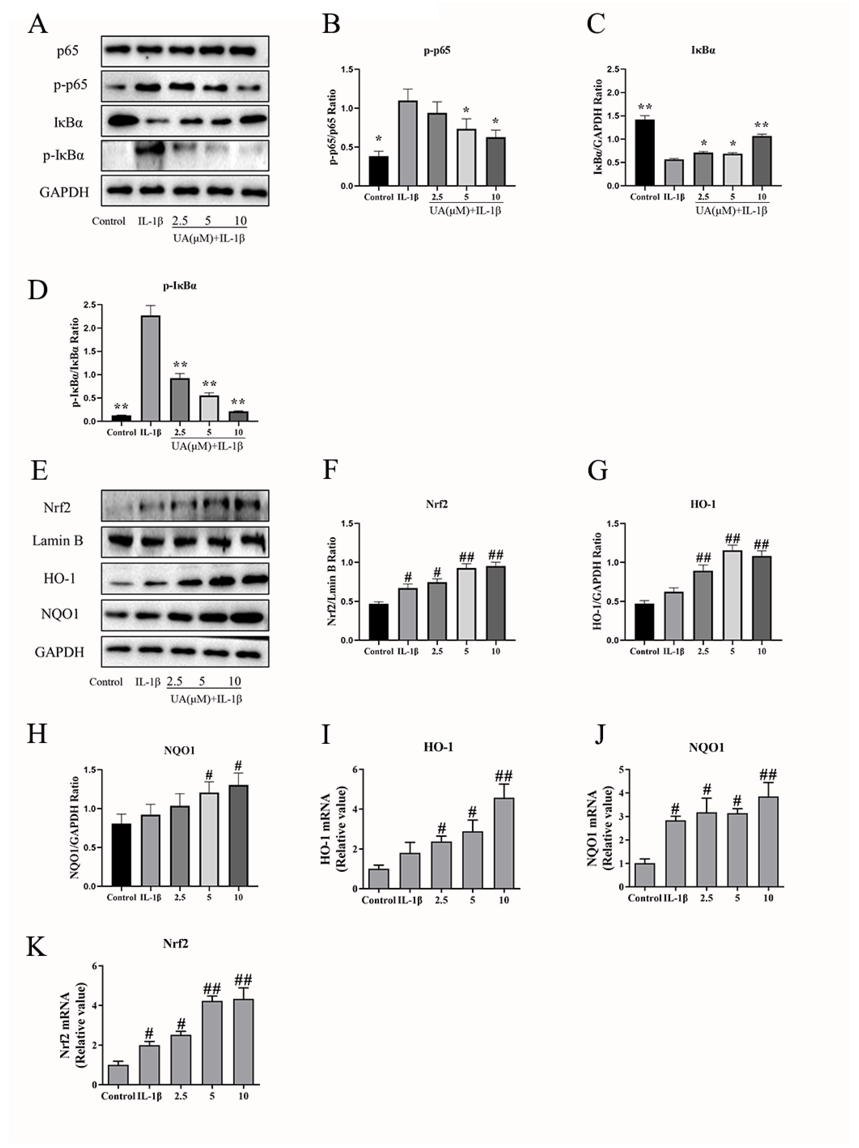 Preprints 95427 g006