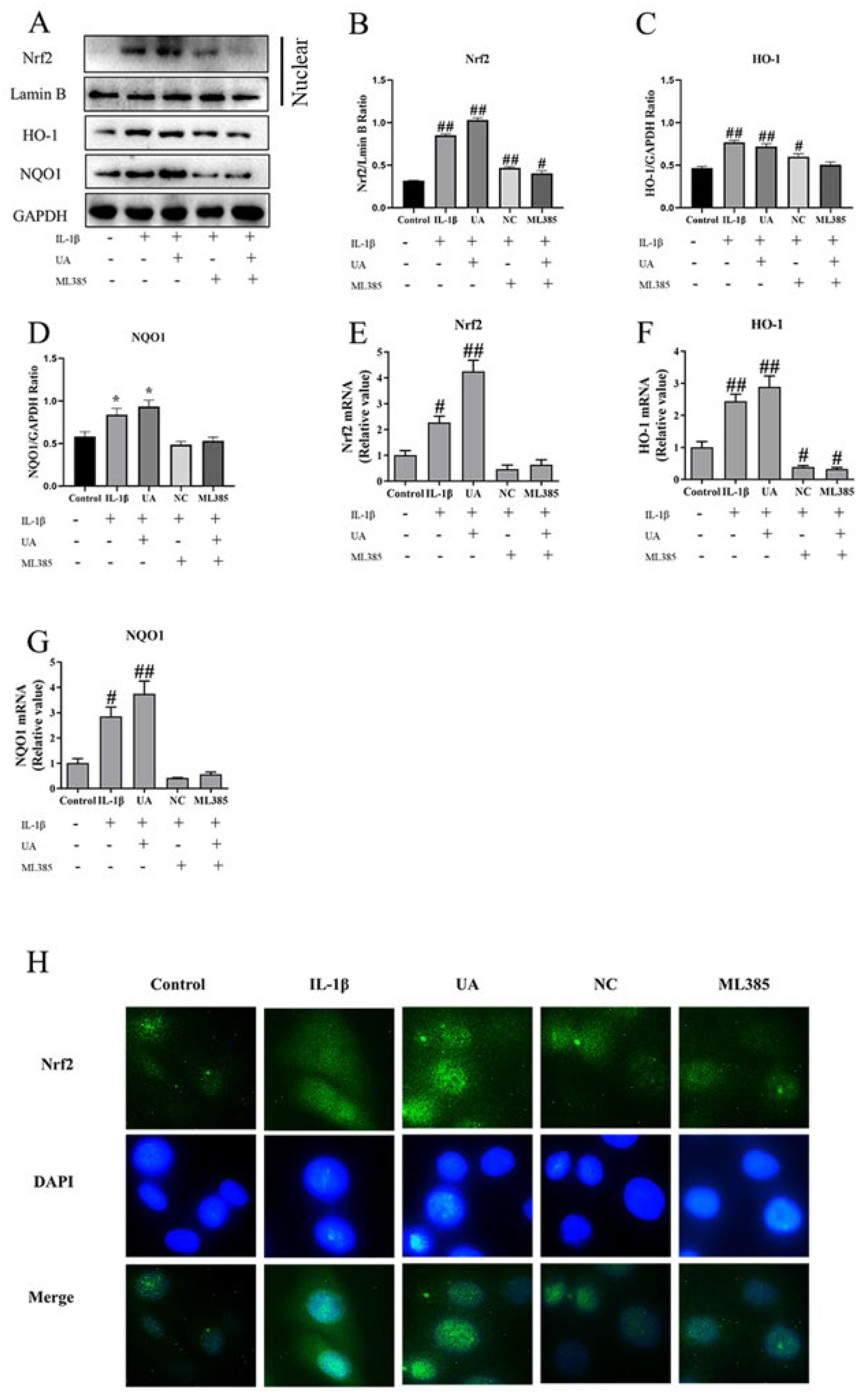 Preprints 95427 g007