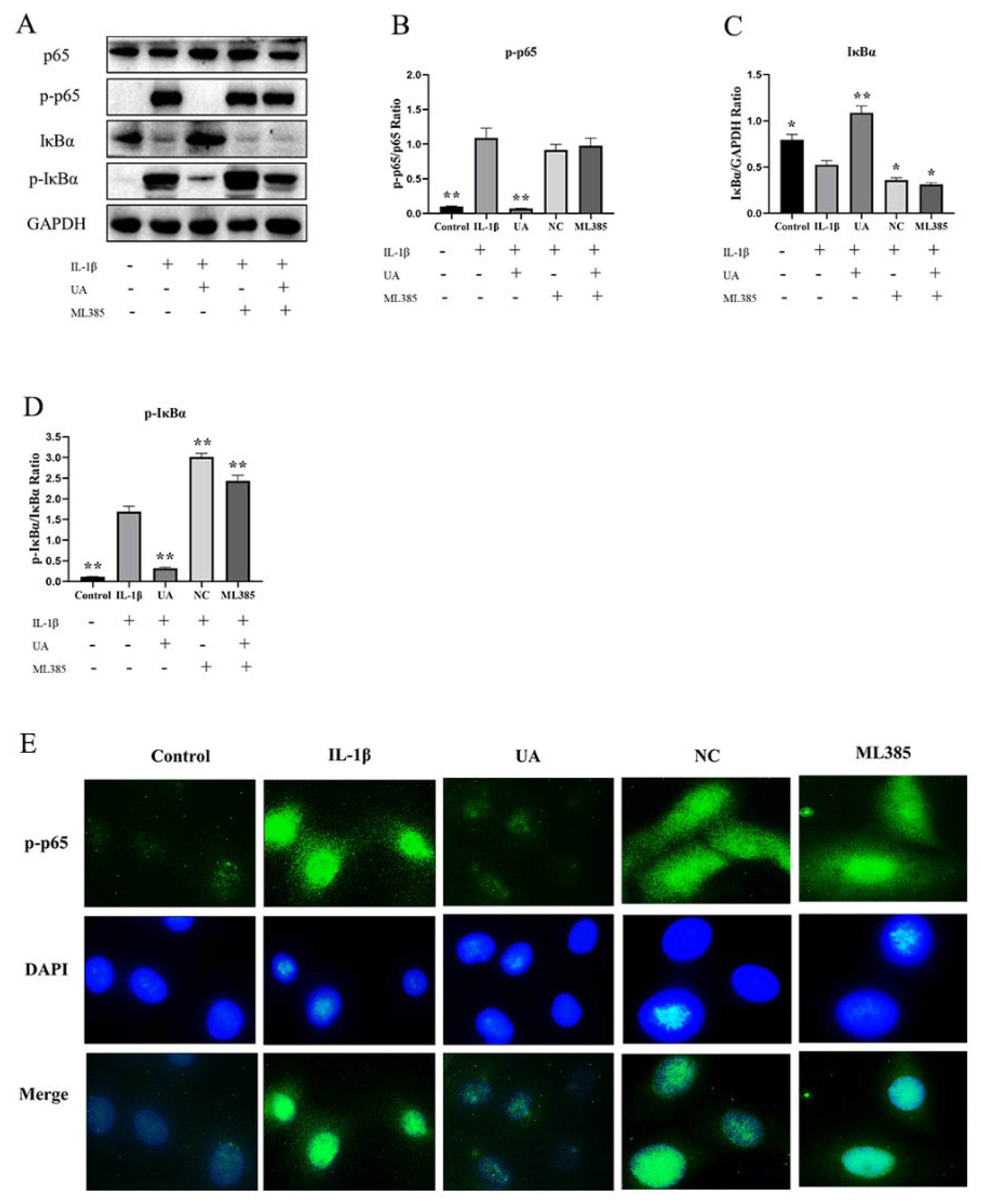 Preprints 95427 g008