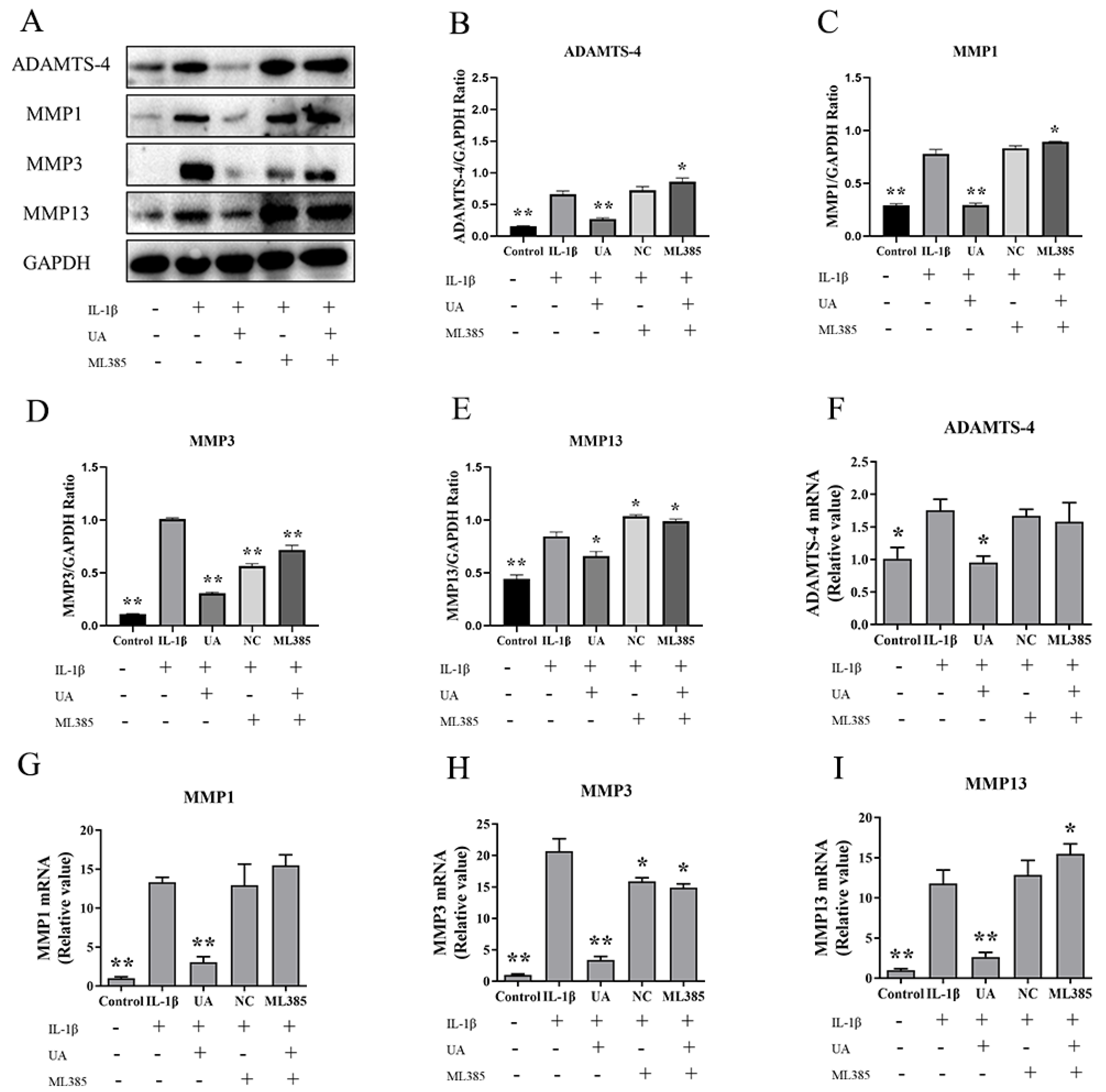 Preprints 95427 g009