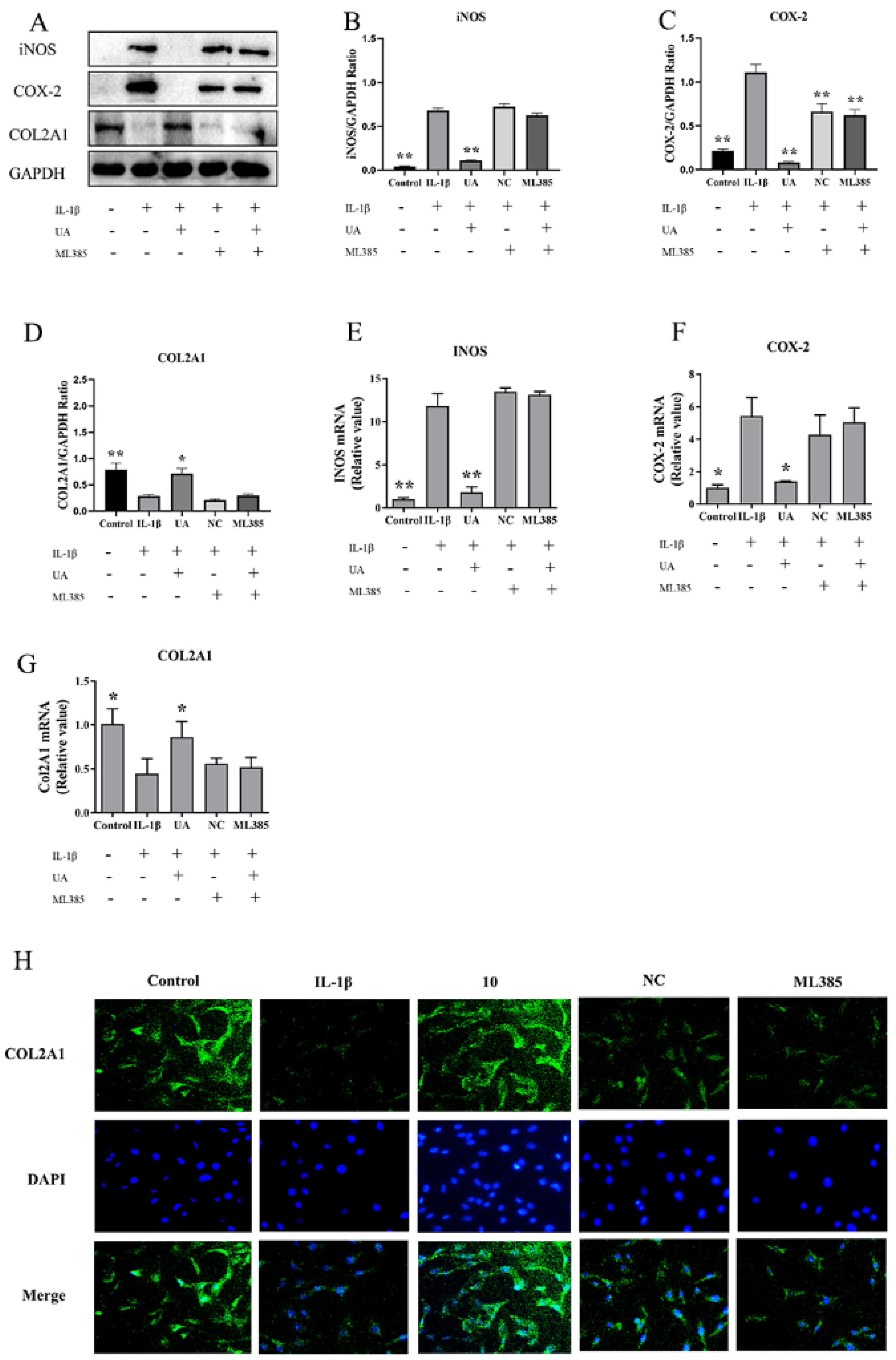 Preprints 95427 g010