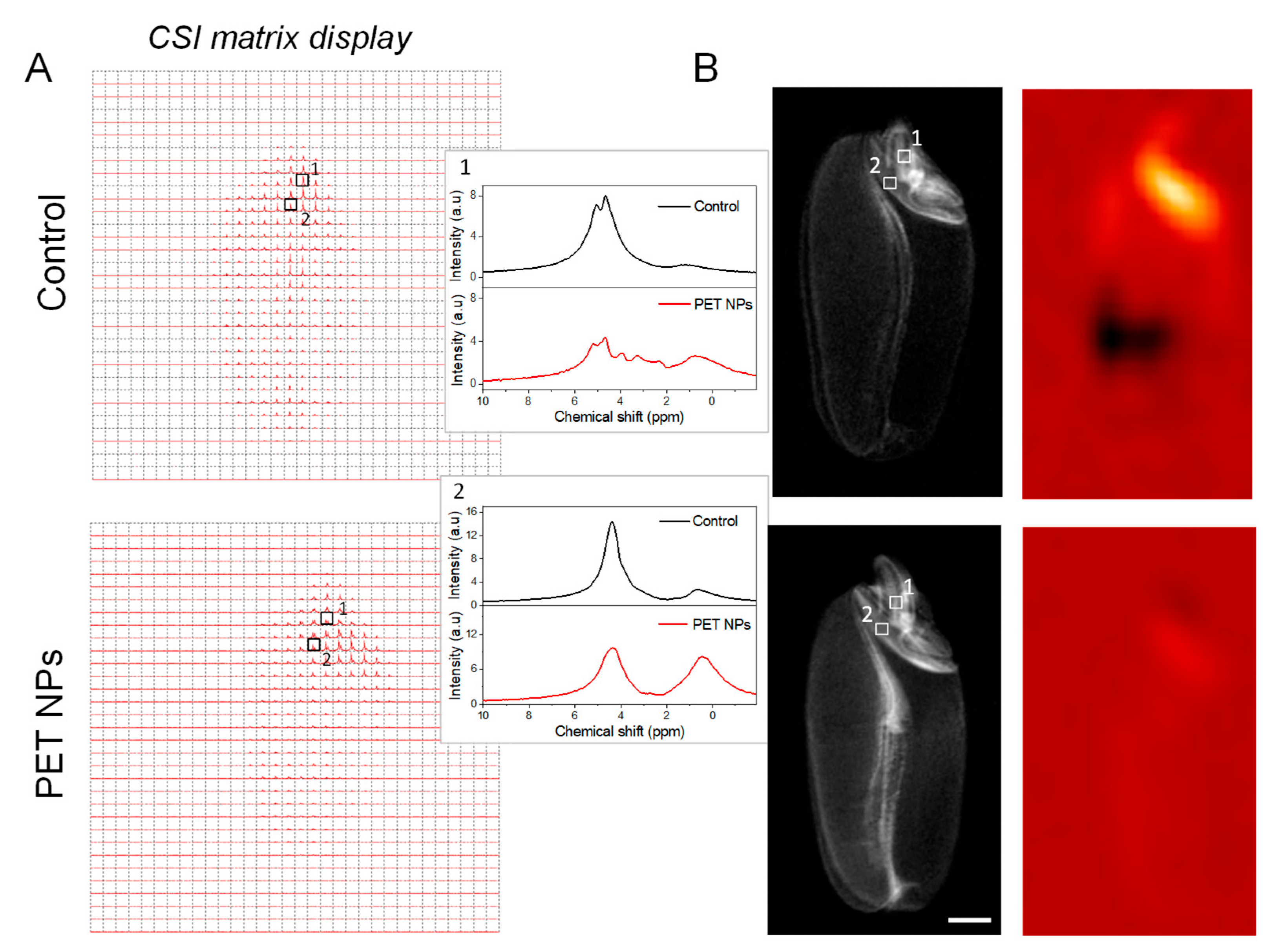 Preprints 112411 g008