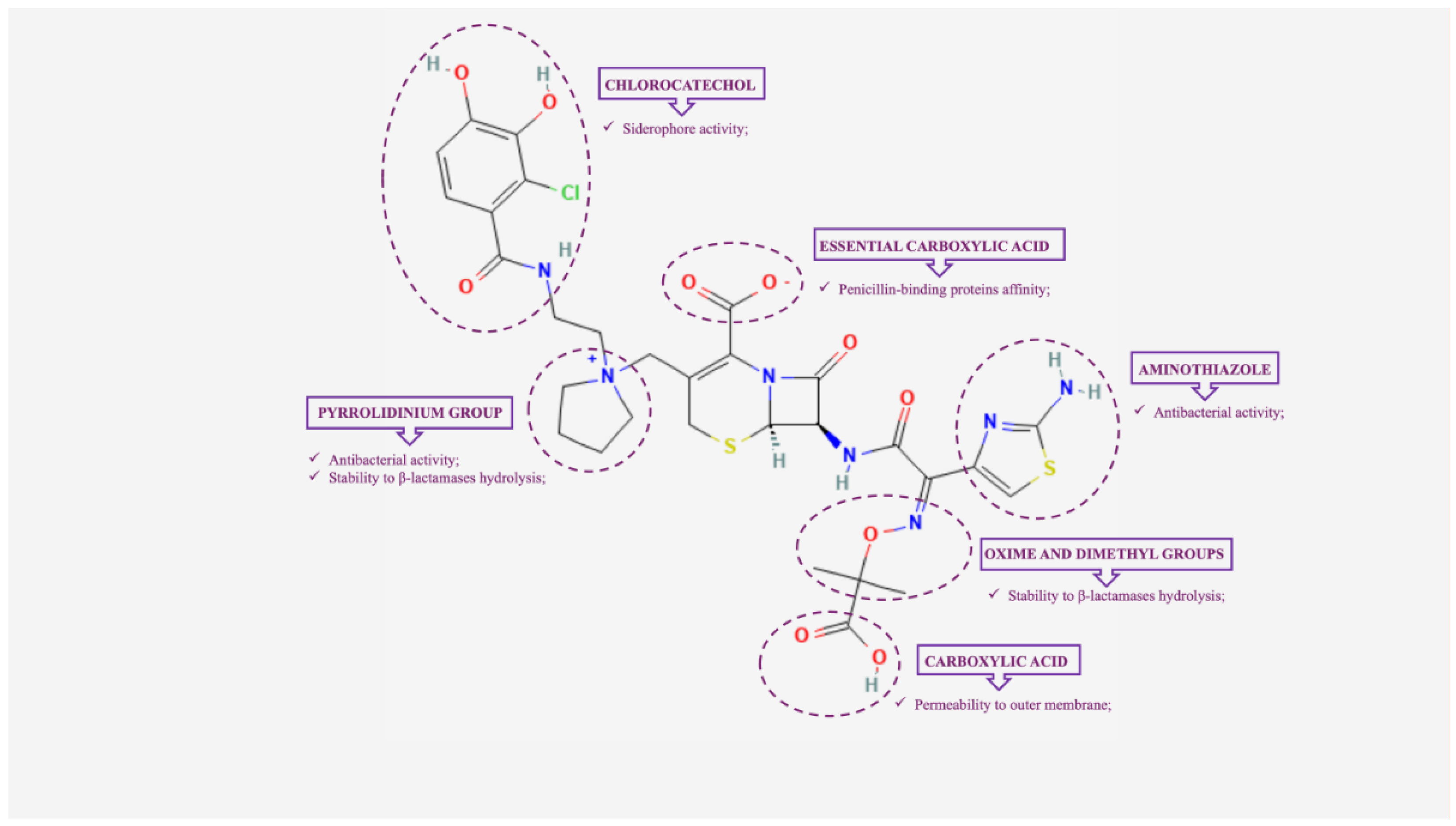 Preprints 118698 g001