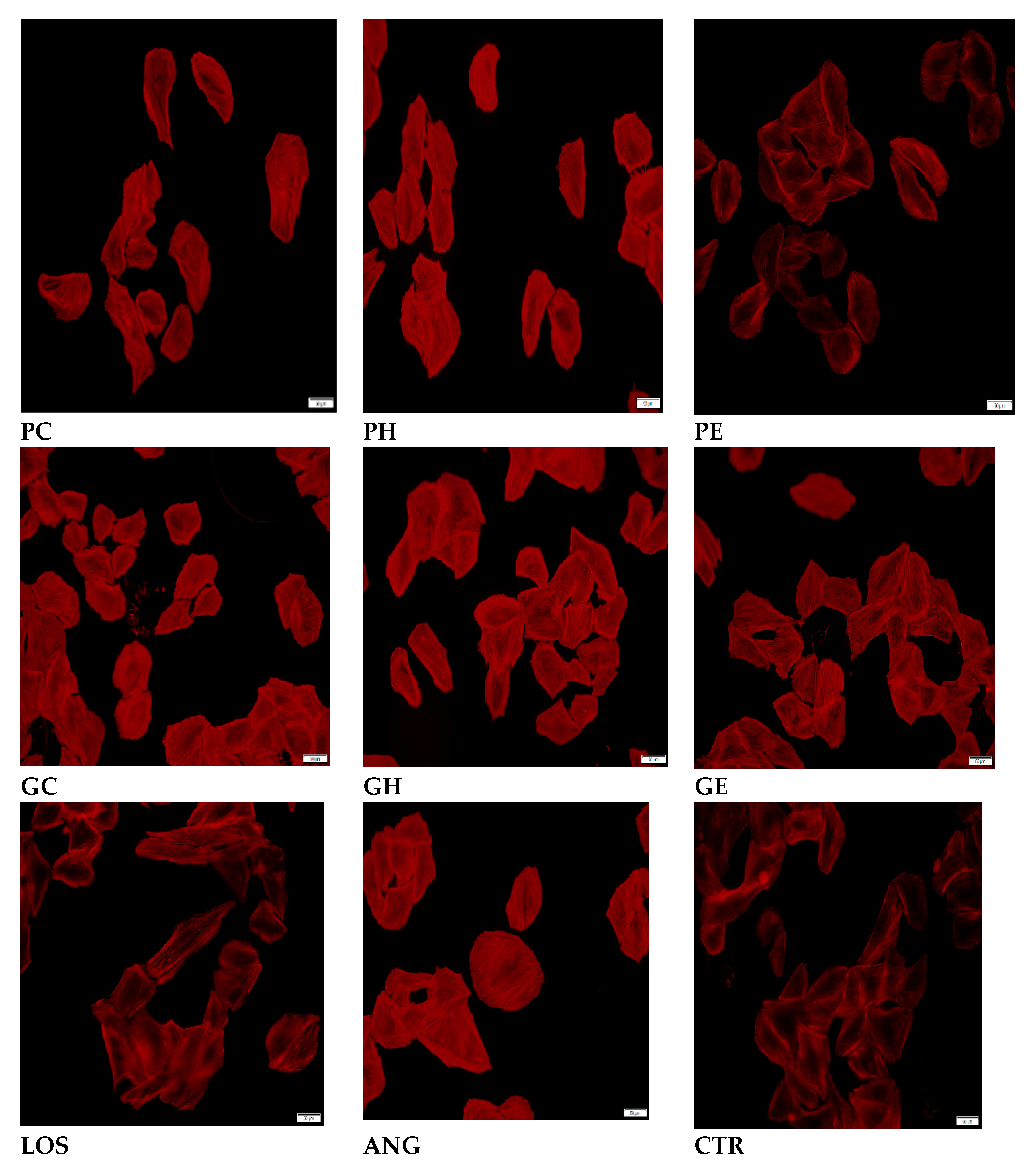 Preprints 75645 g001