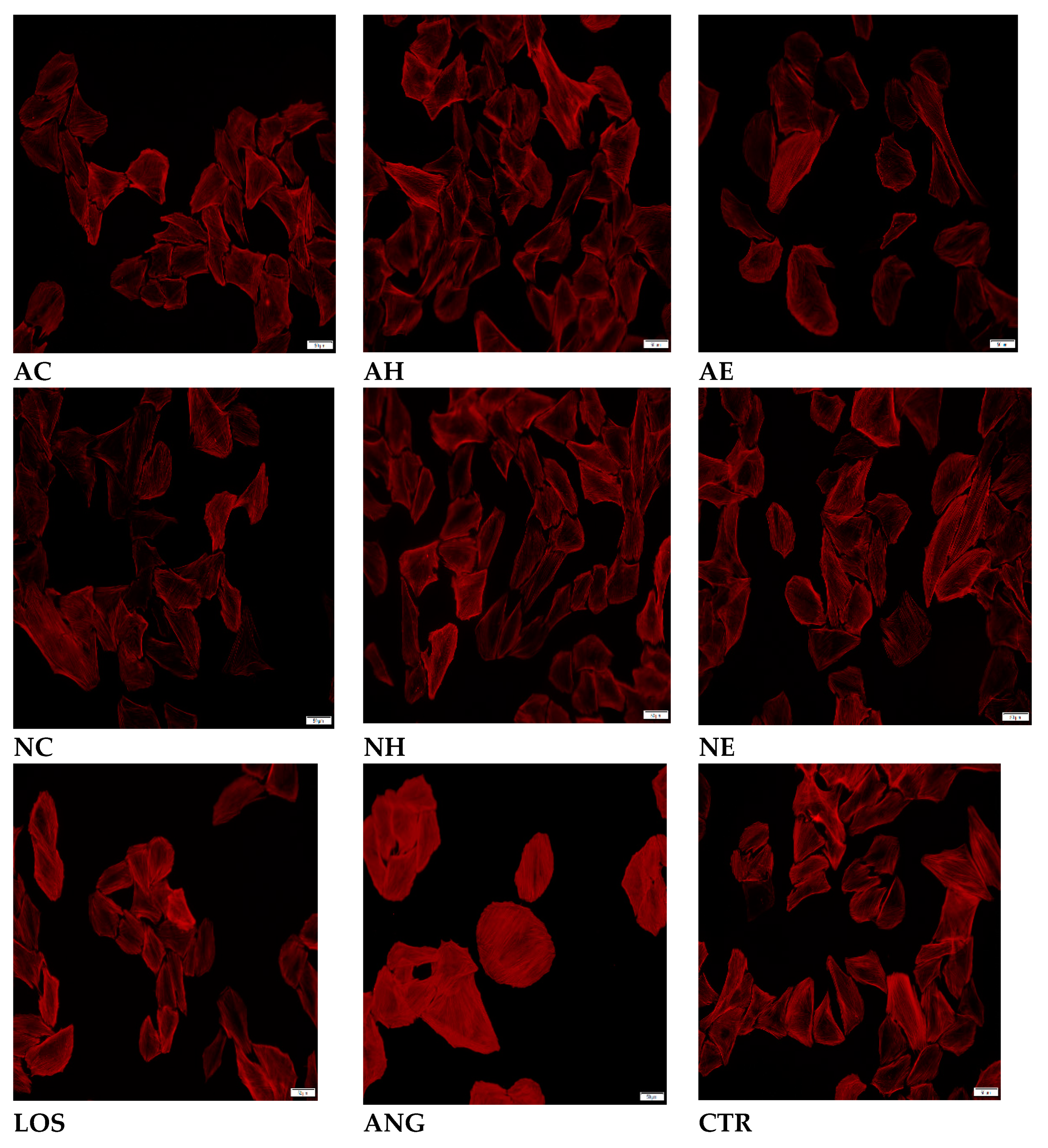 Preprints 75645 g003