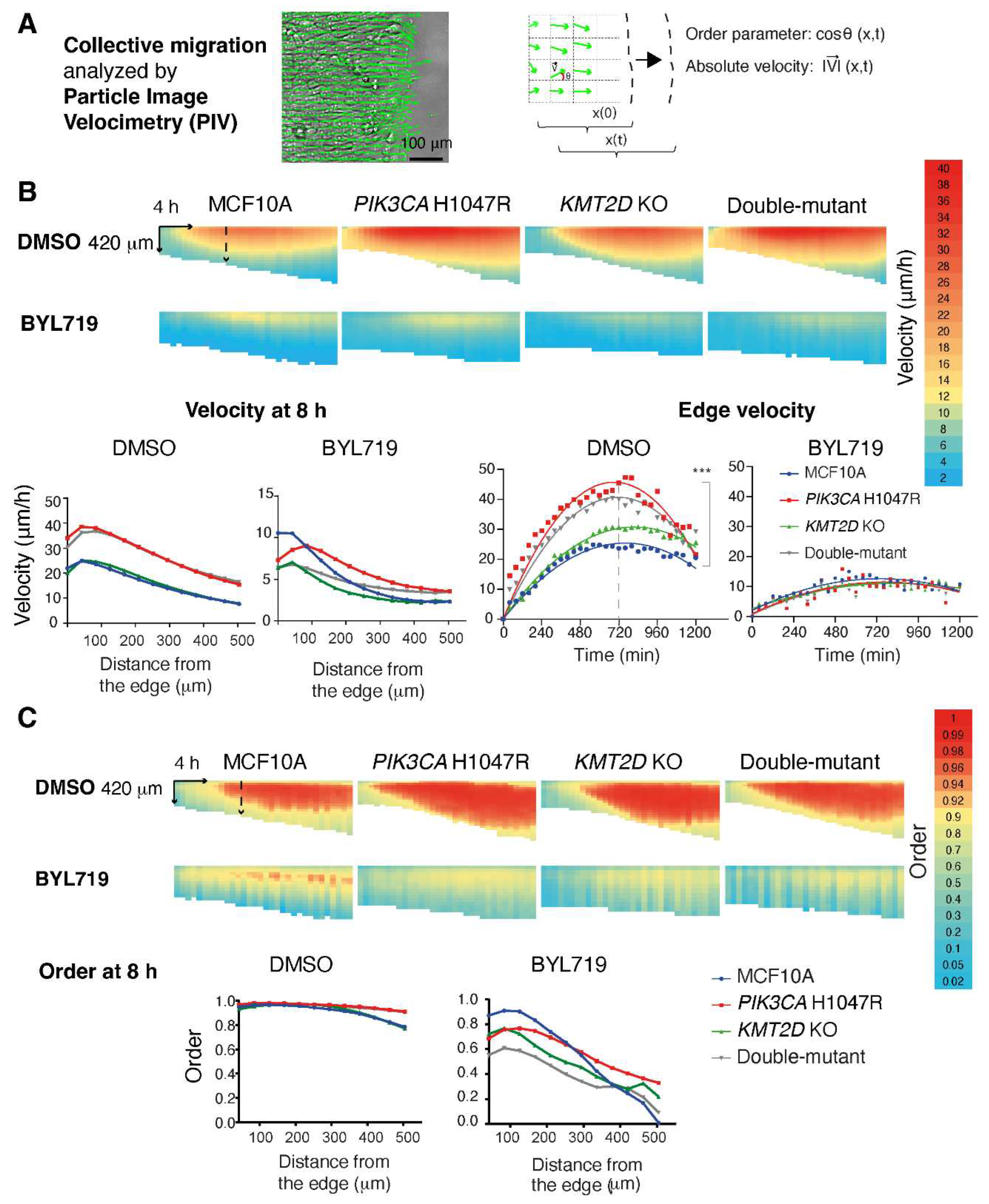 Preprints 99001 g003