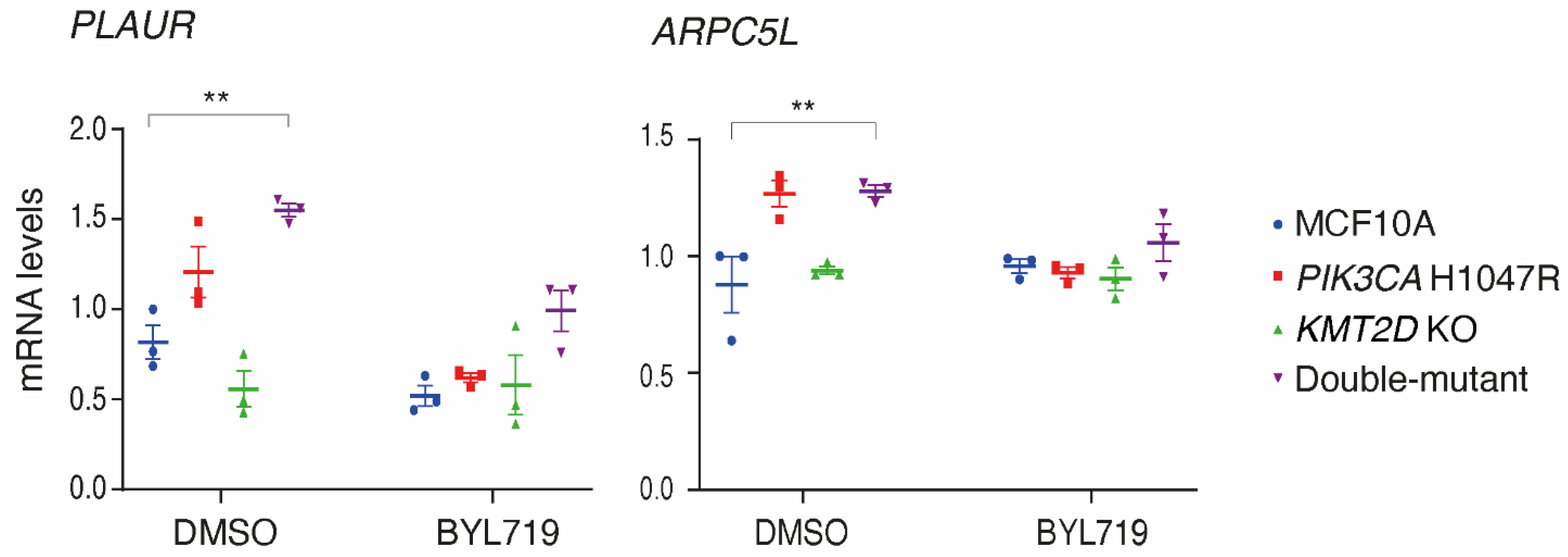 Preprints 99001 g004