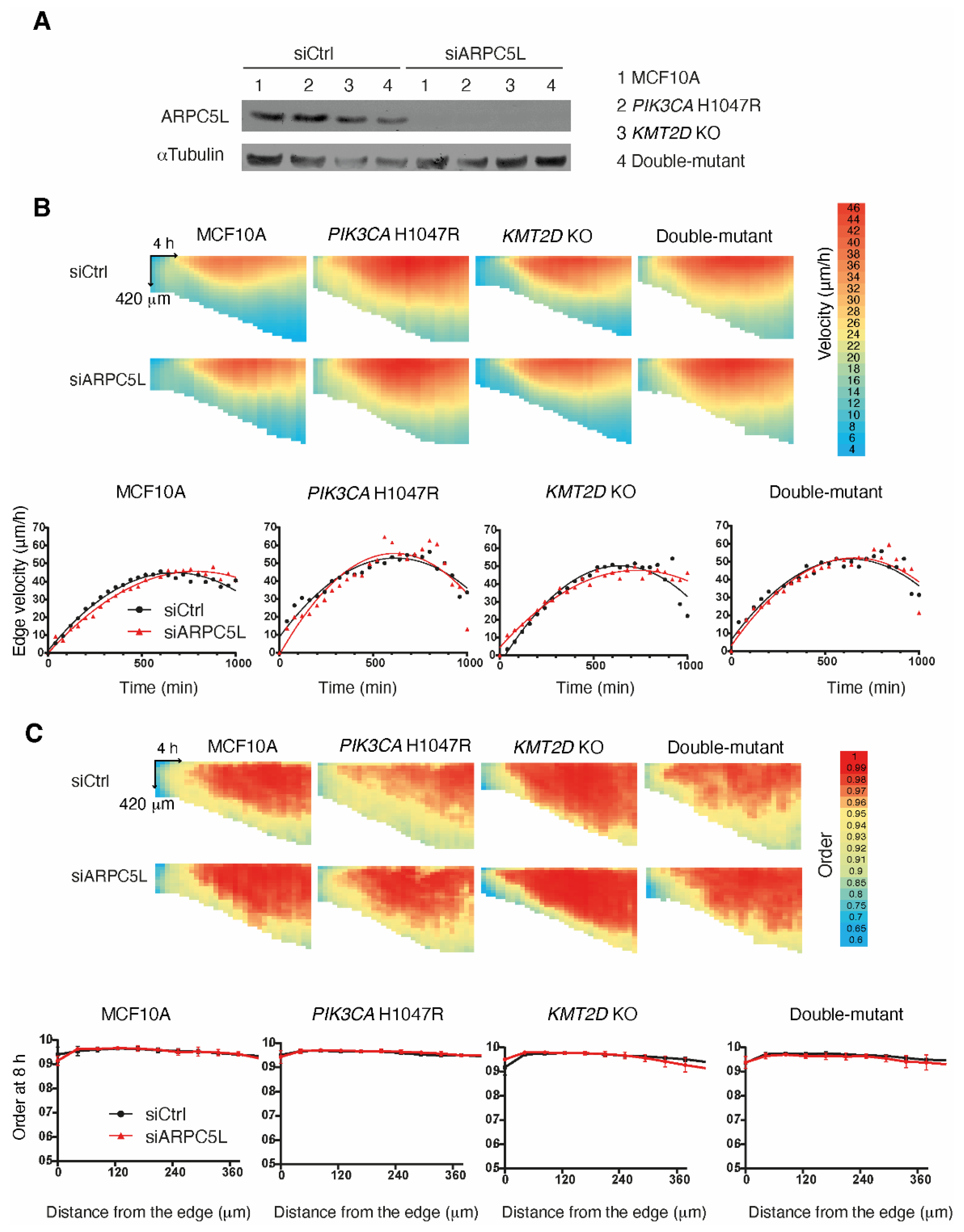 Preprints 99001 g005