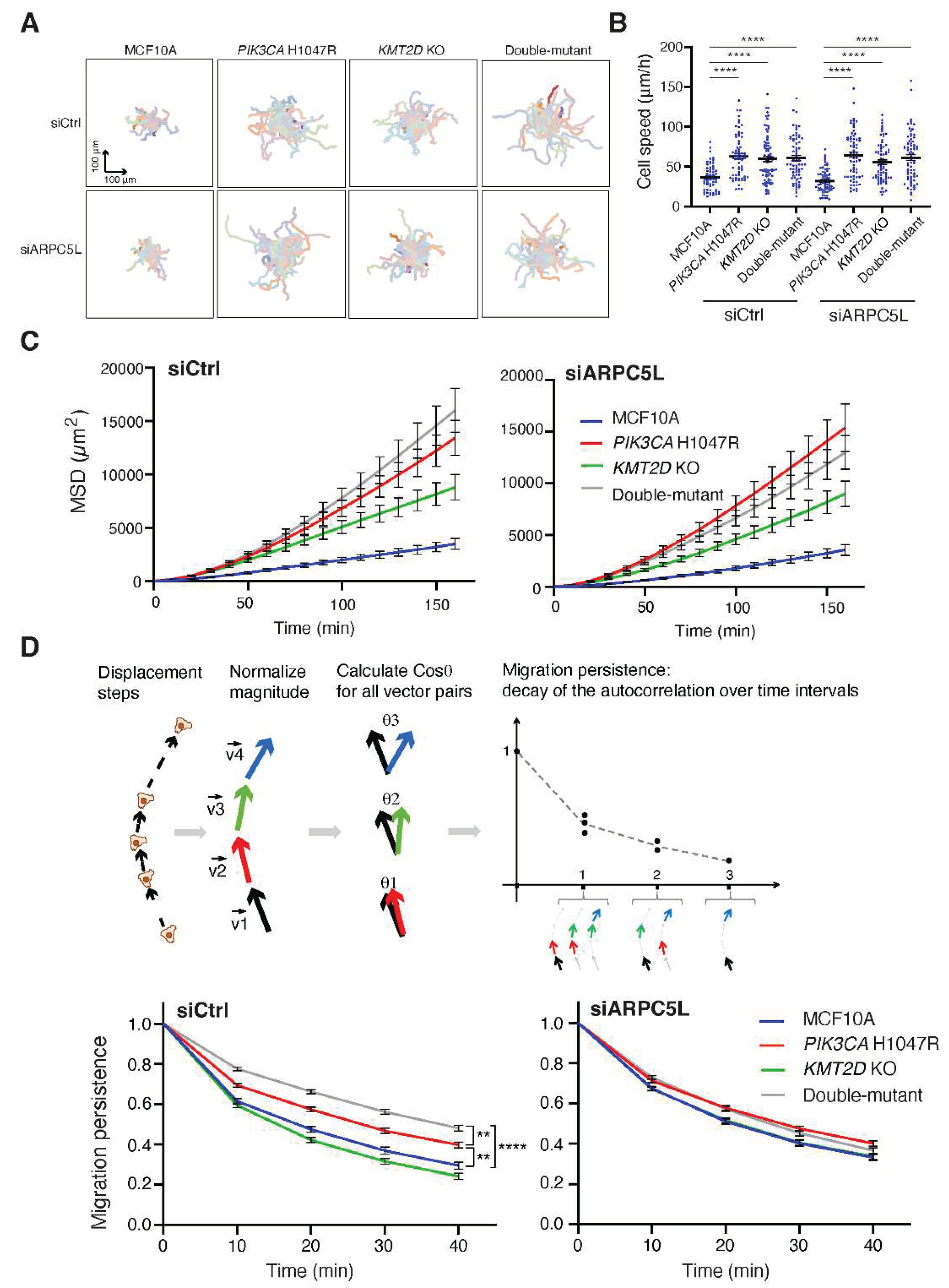 Preprints 99001 g006