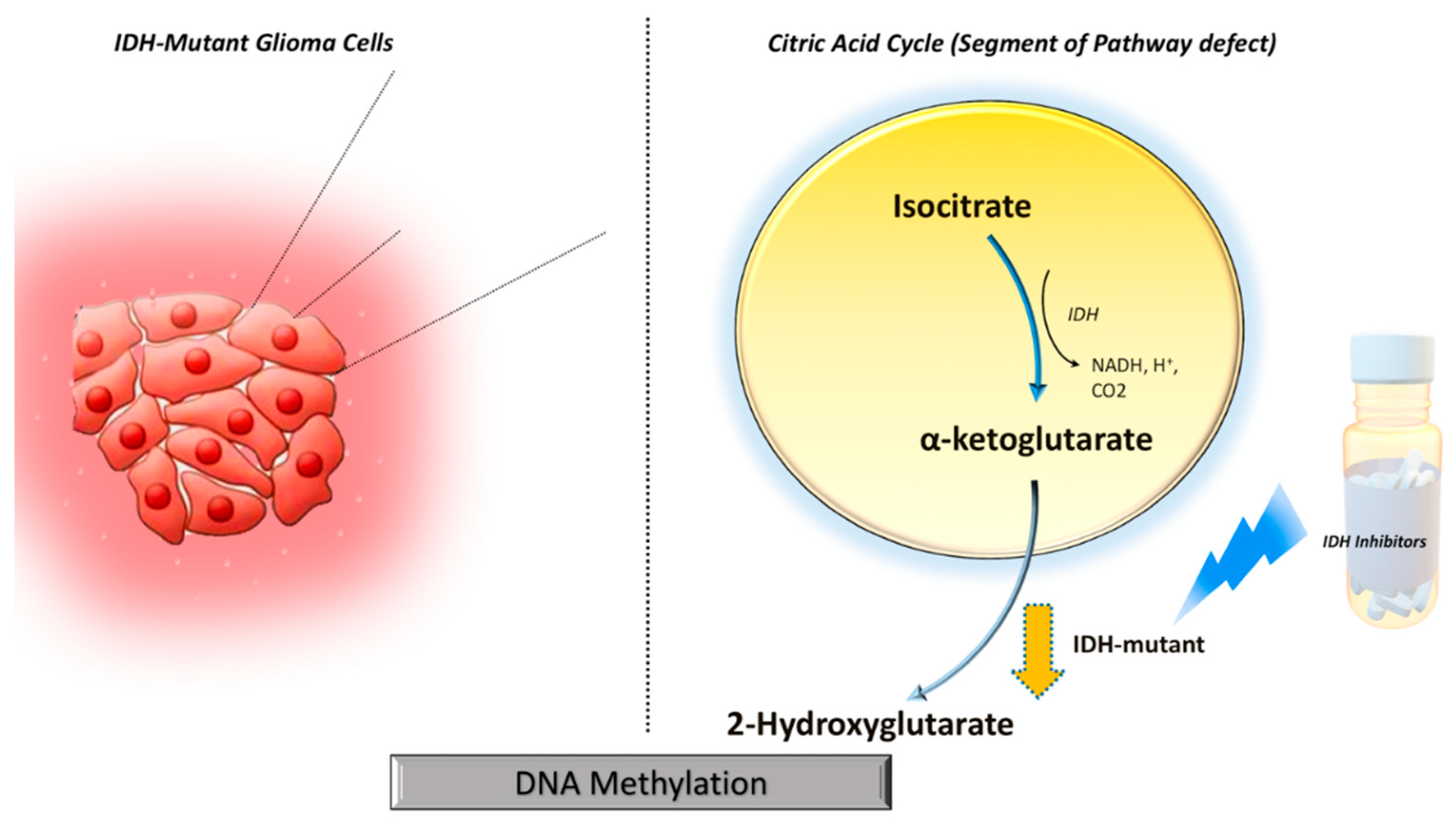 Preprints 82820 g001