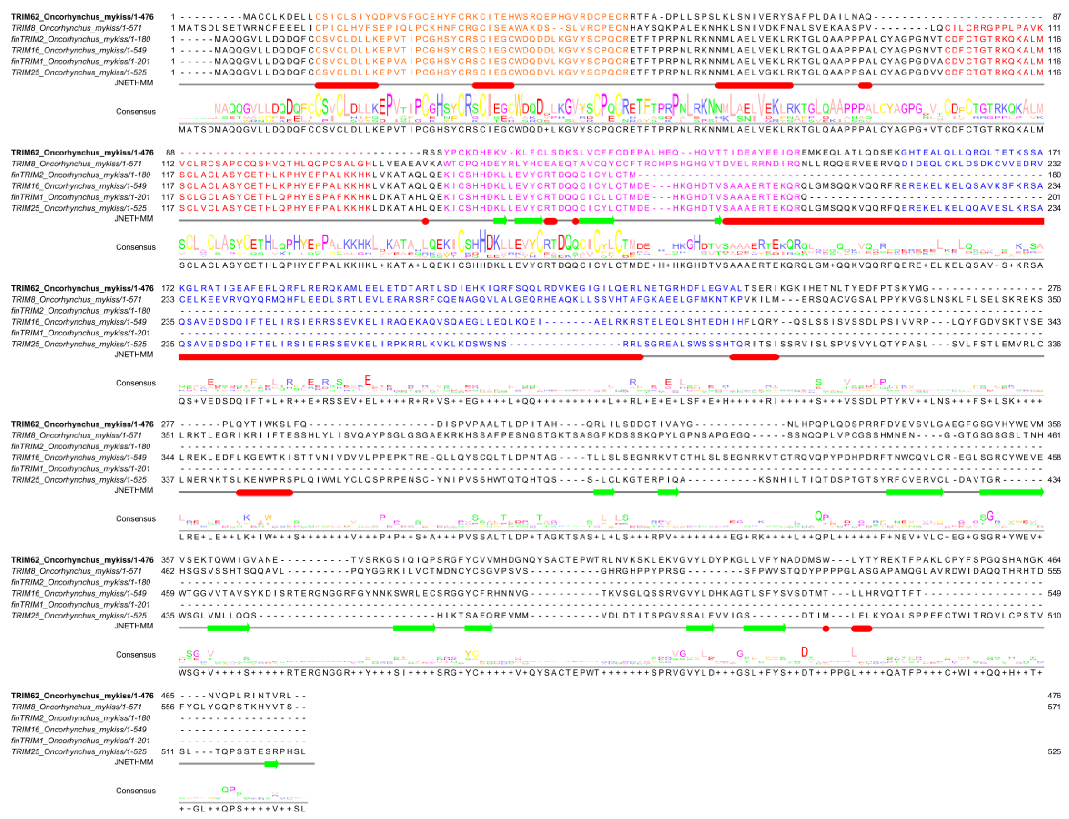 Preprints 105870 g001