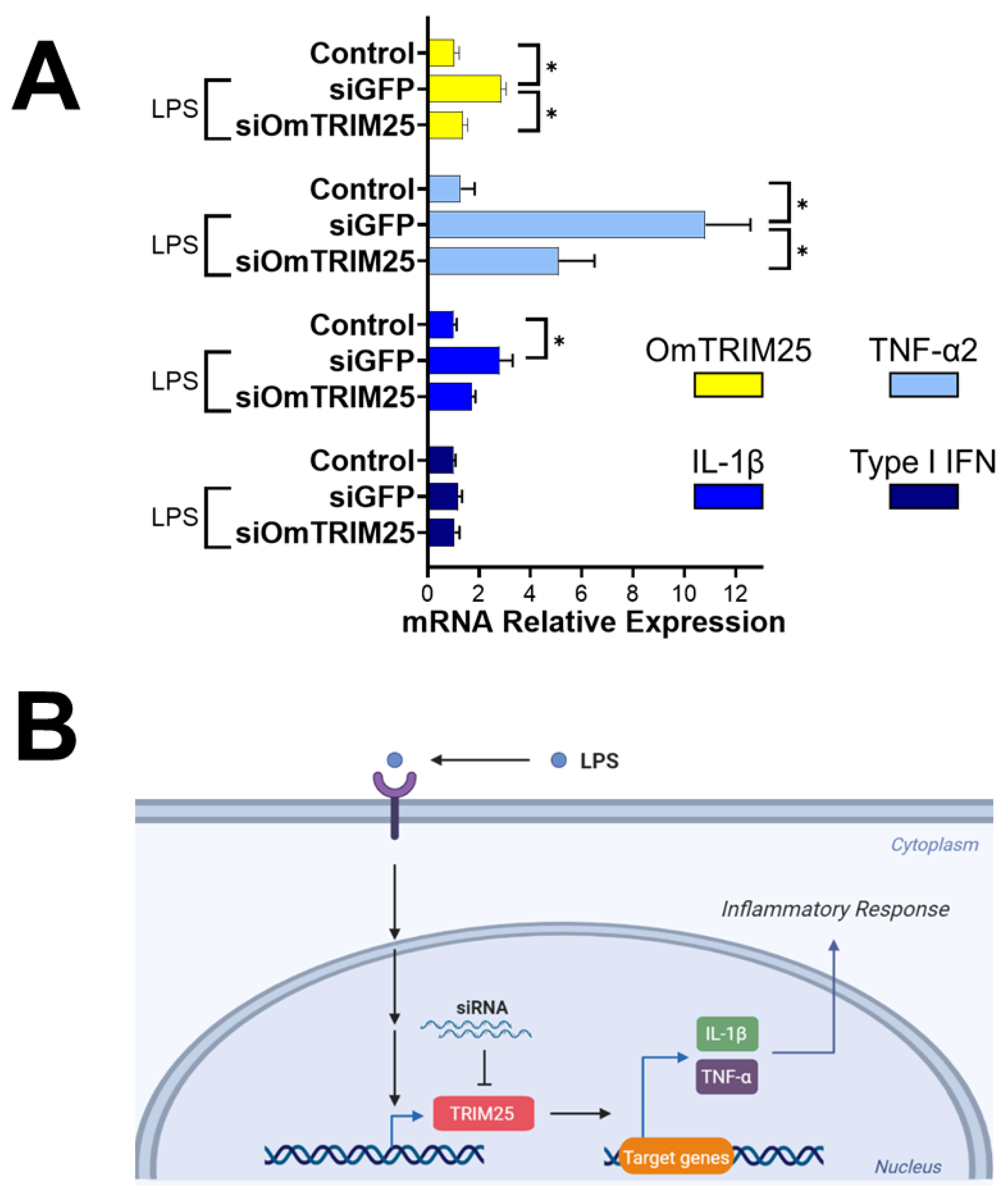 Preprints 105870 g006