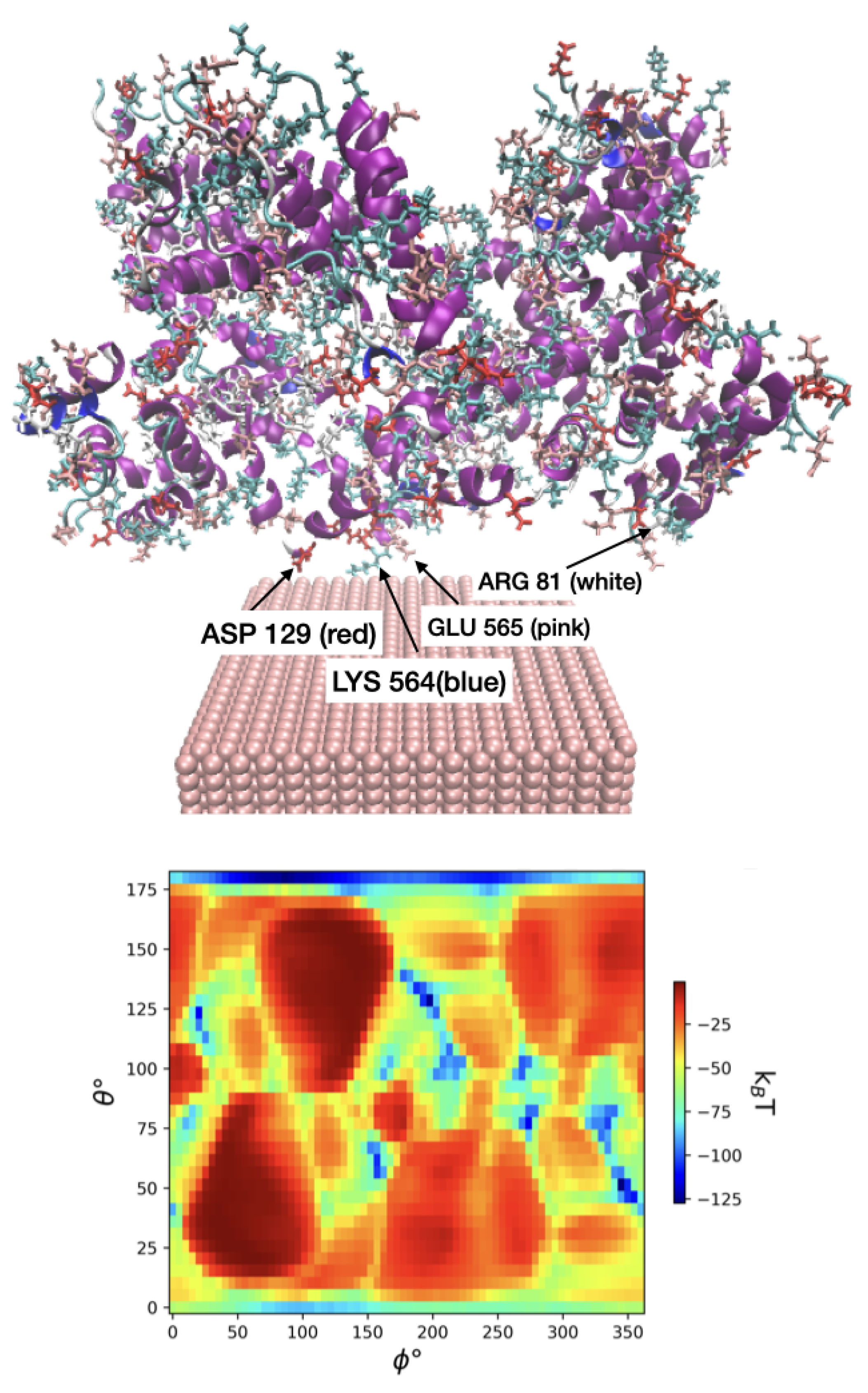 Preprints 74496 g006