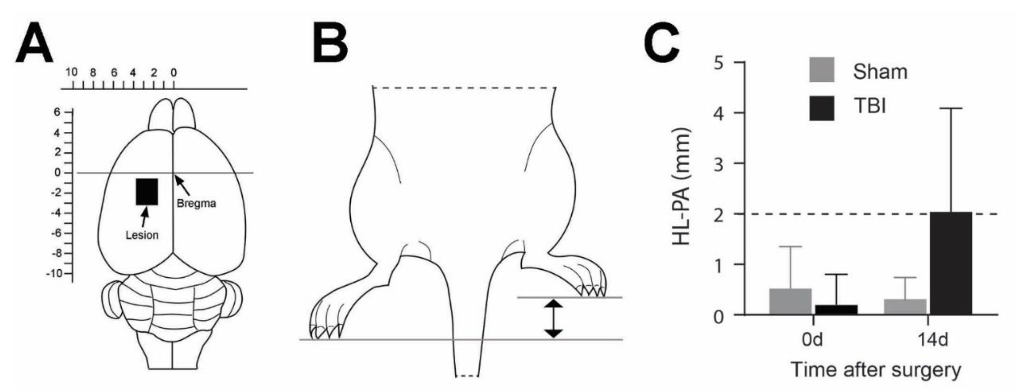 Preprints 98839 g001