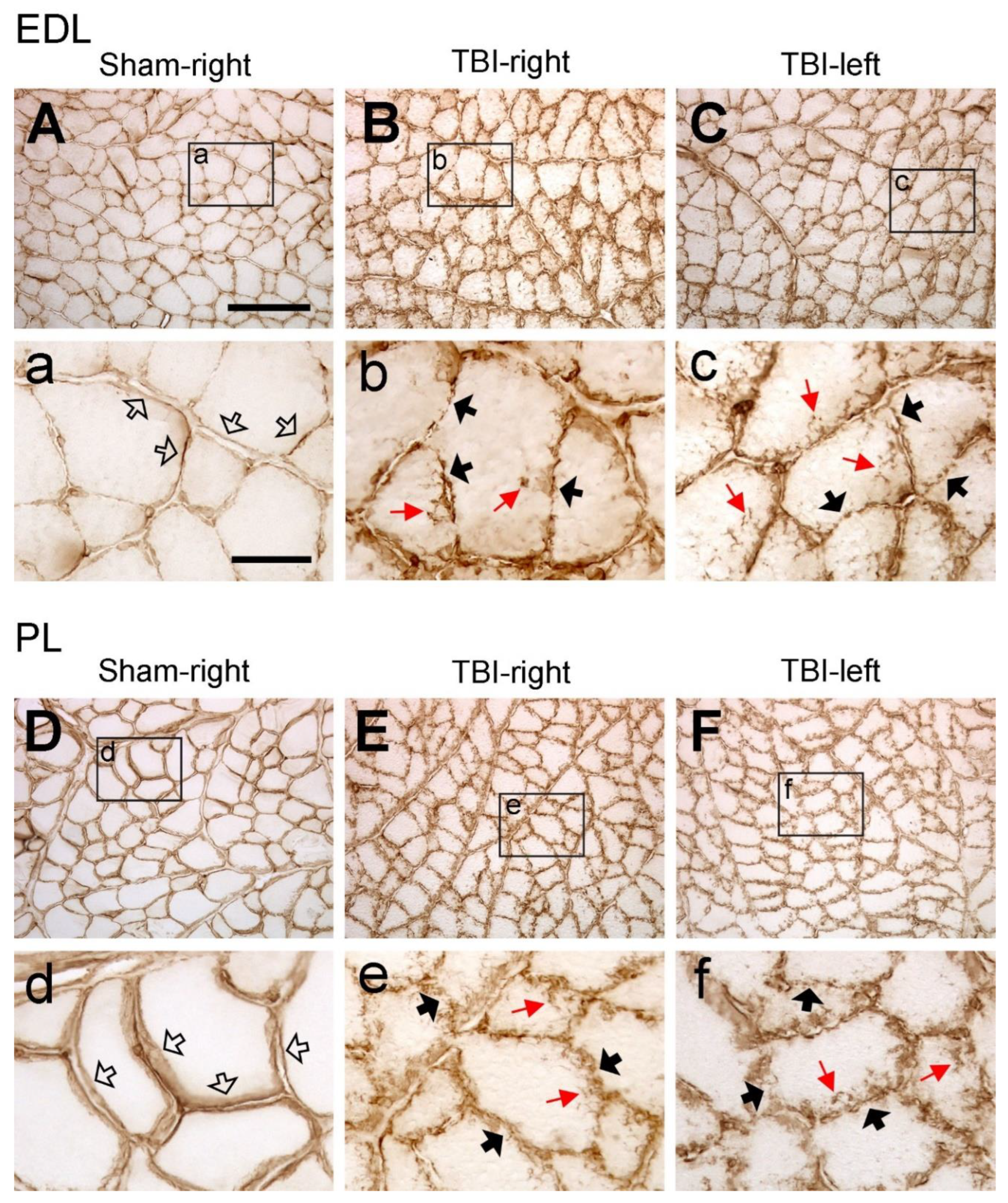 Preprints 98839 g002