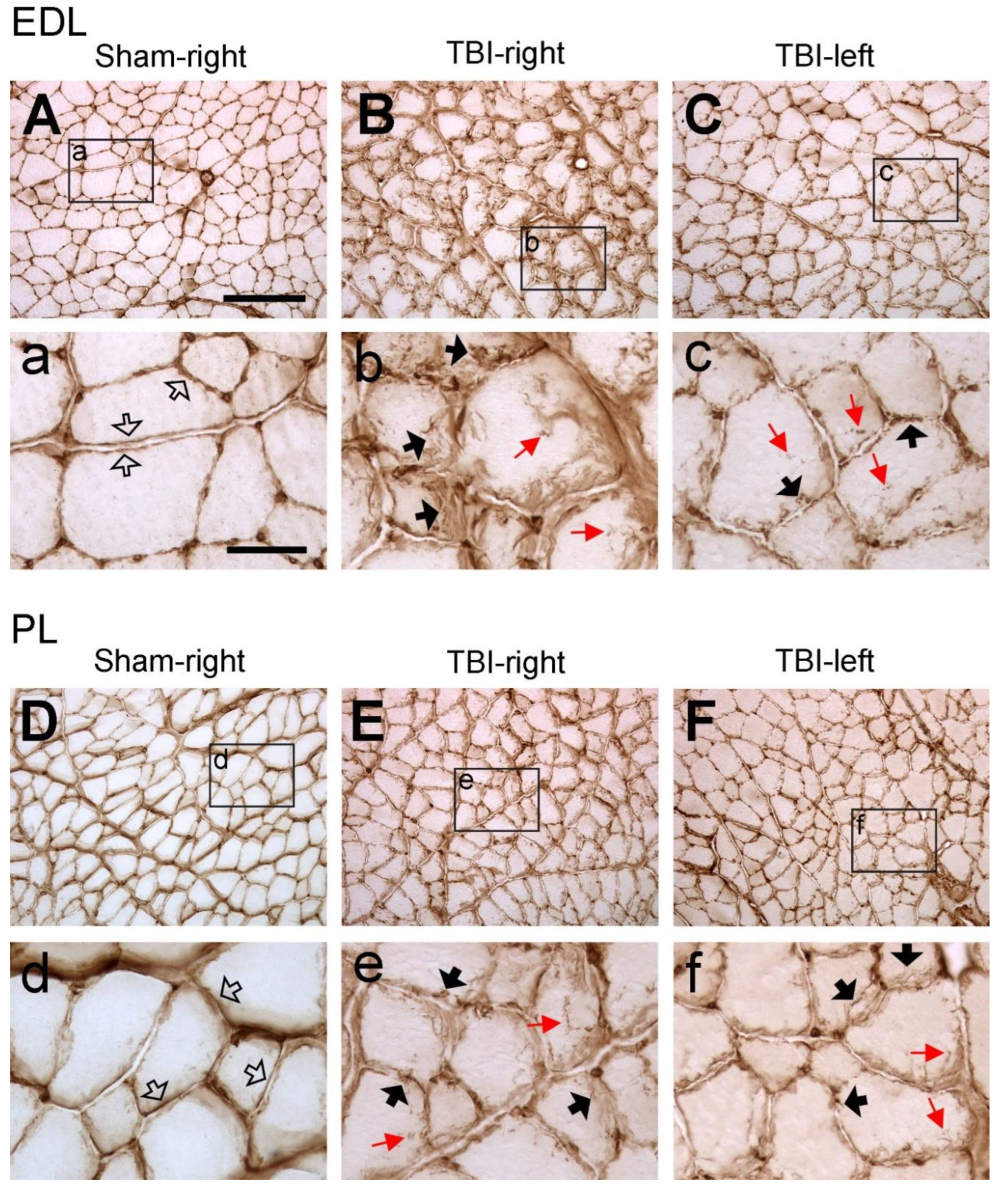 Preprints 98839 g003