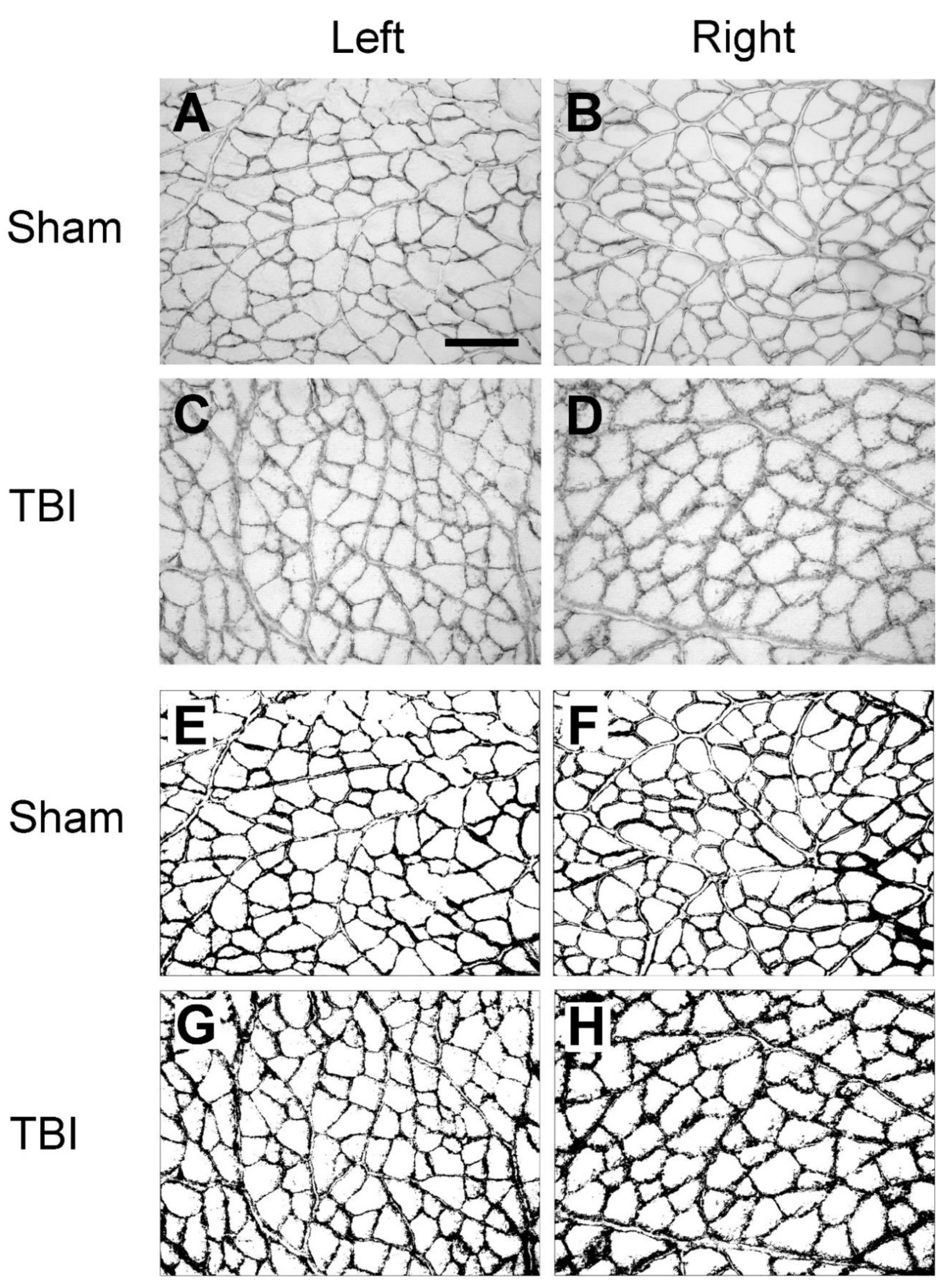 Preprints 98839 g004