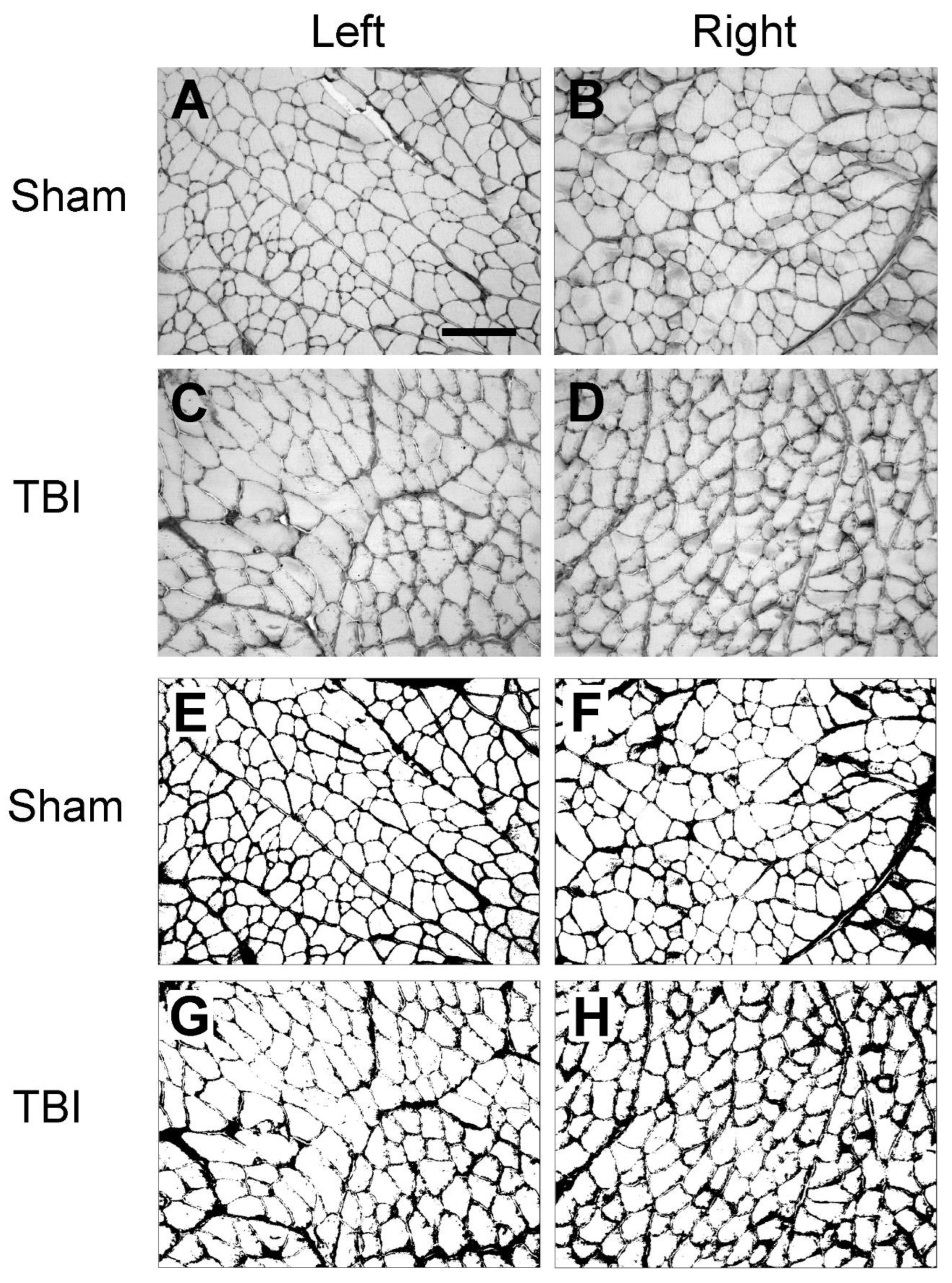 Preprints 98839 g006