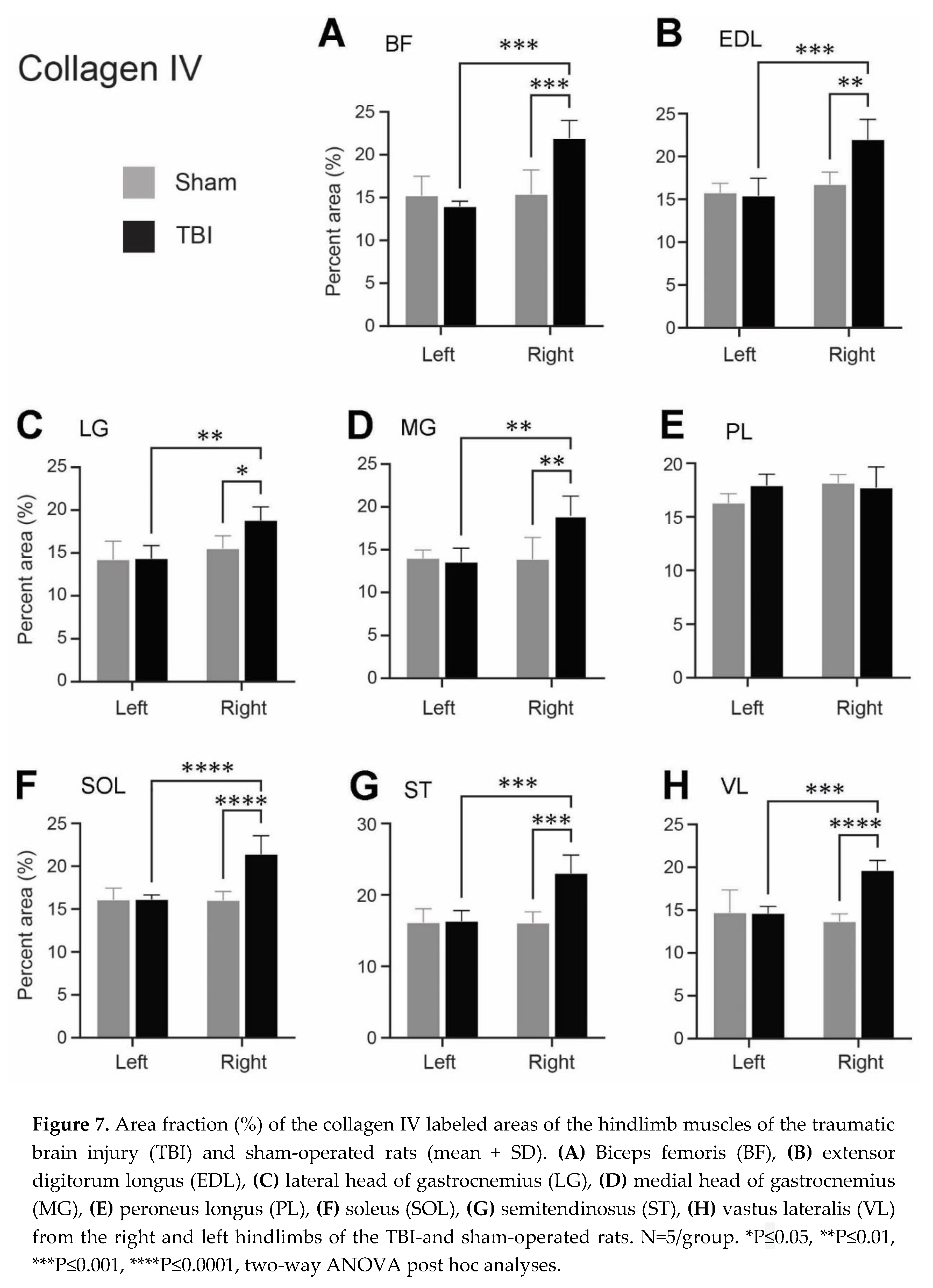 Preprints 98839 g007