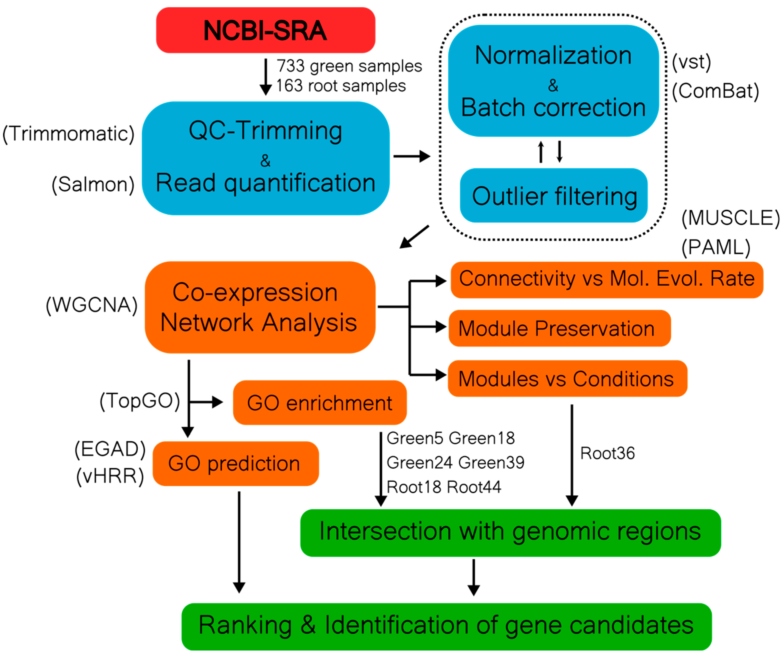 Preprints 77697 g001