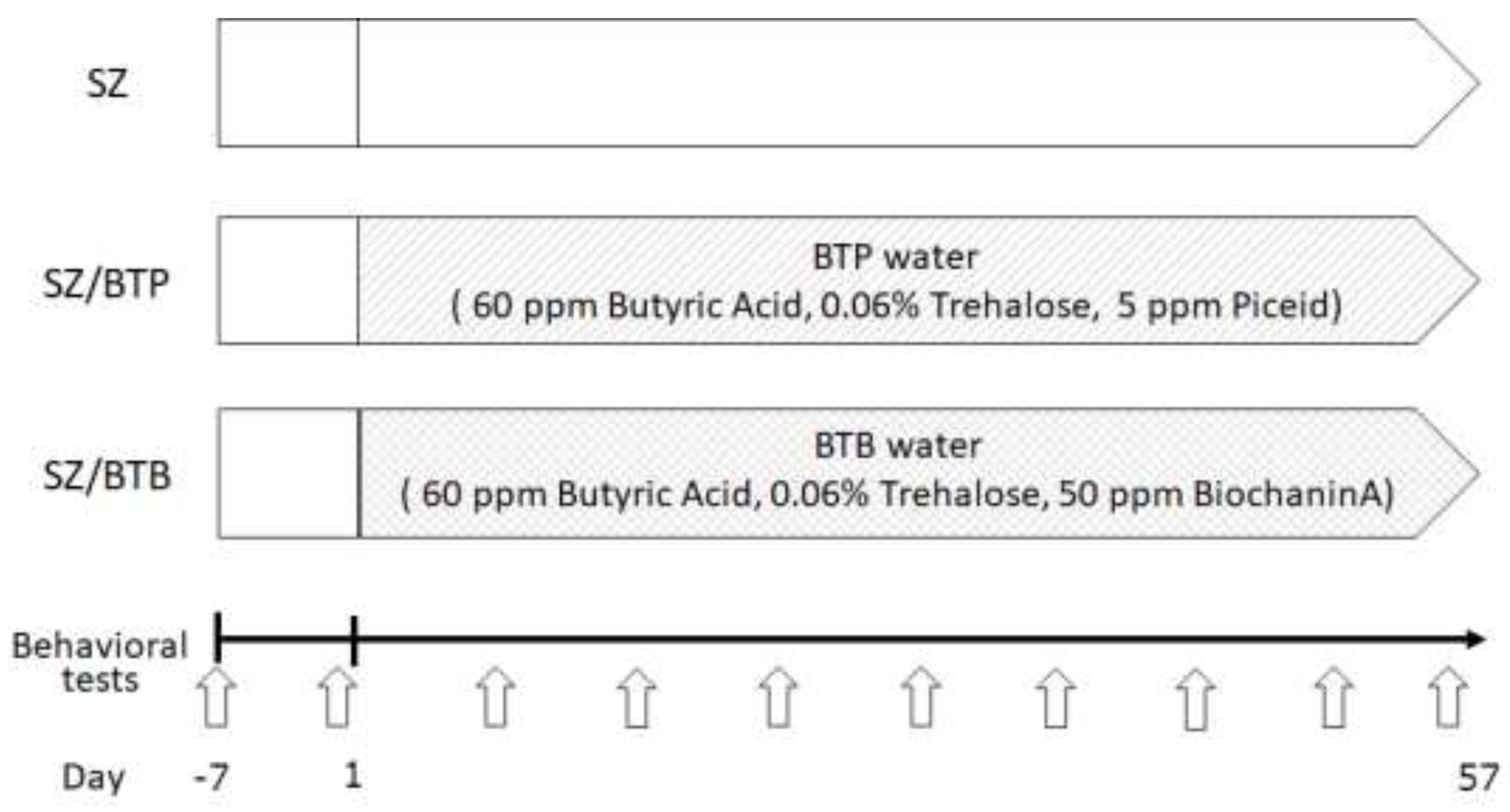 Preprints 119949 g001