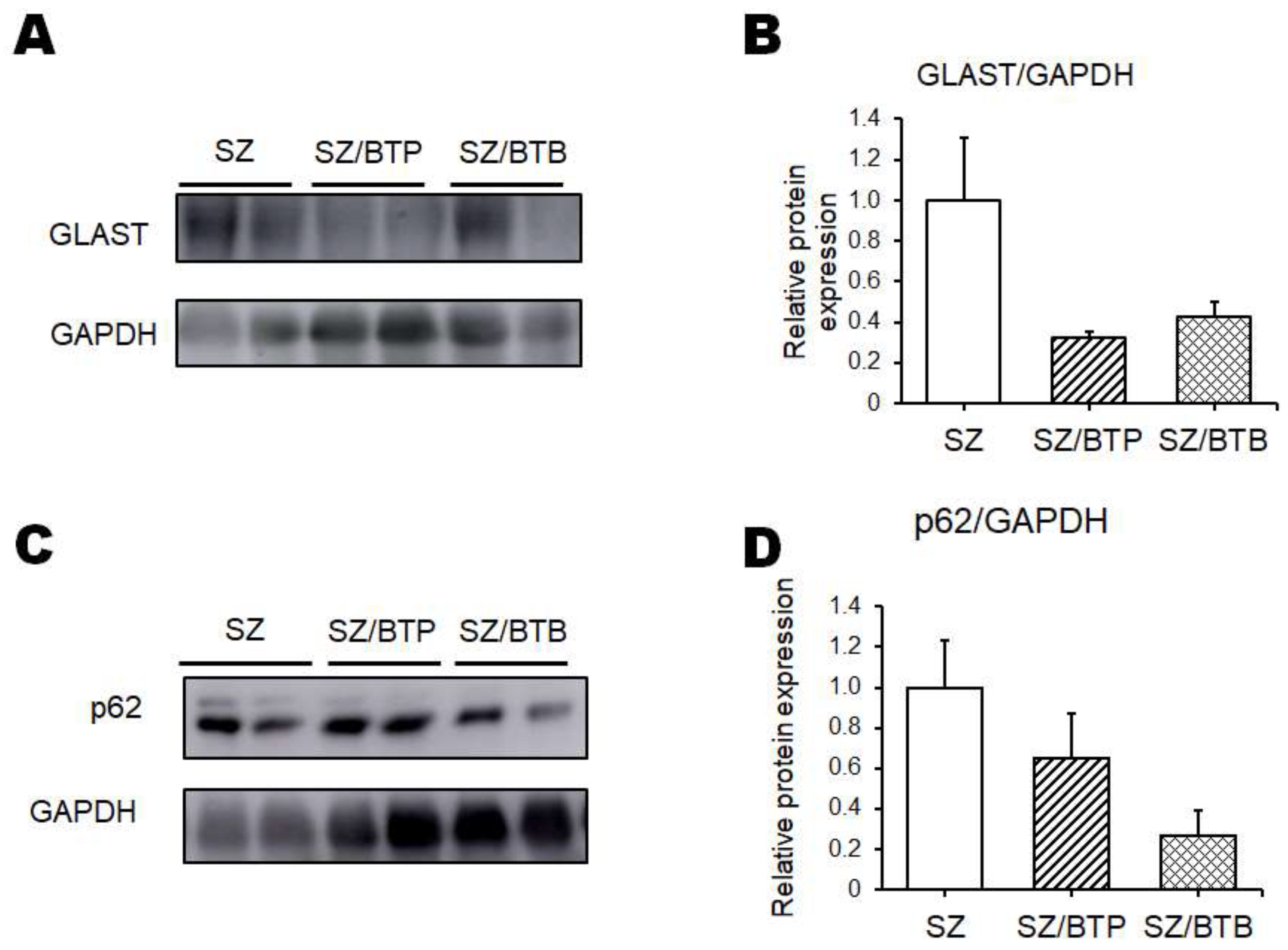 Preprints 119949 g004