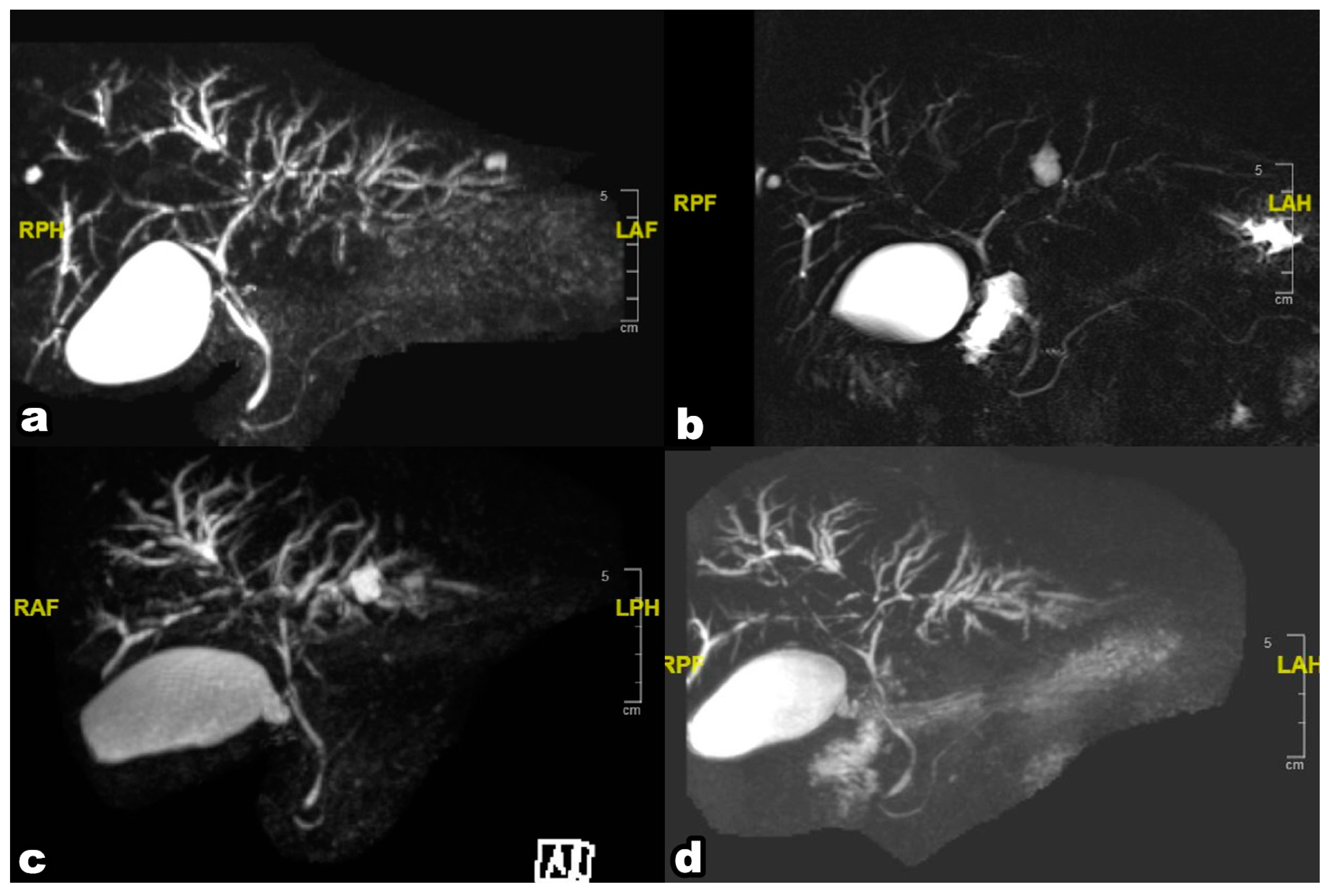 Preprints 87220 g004