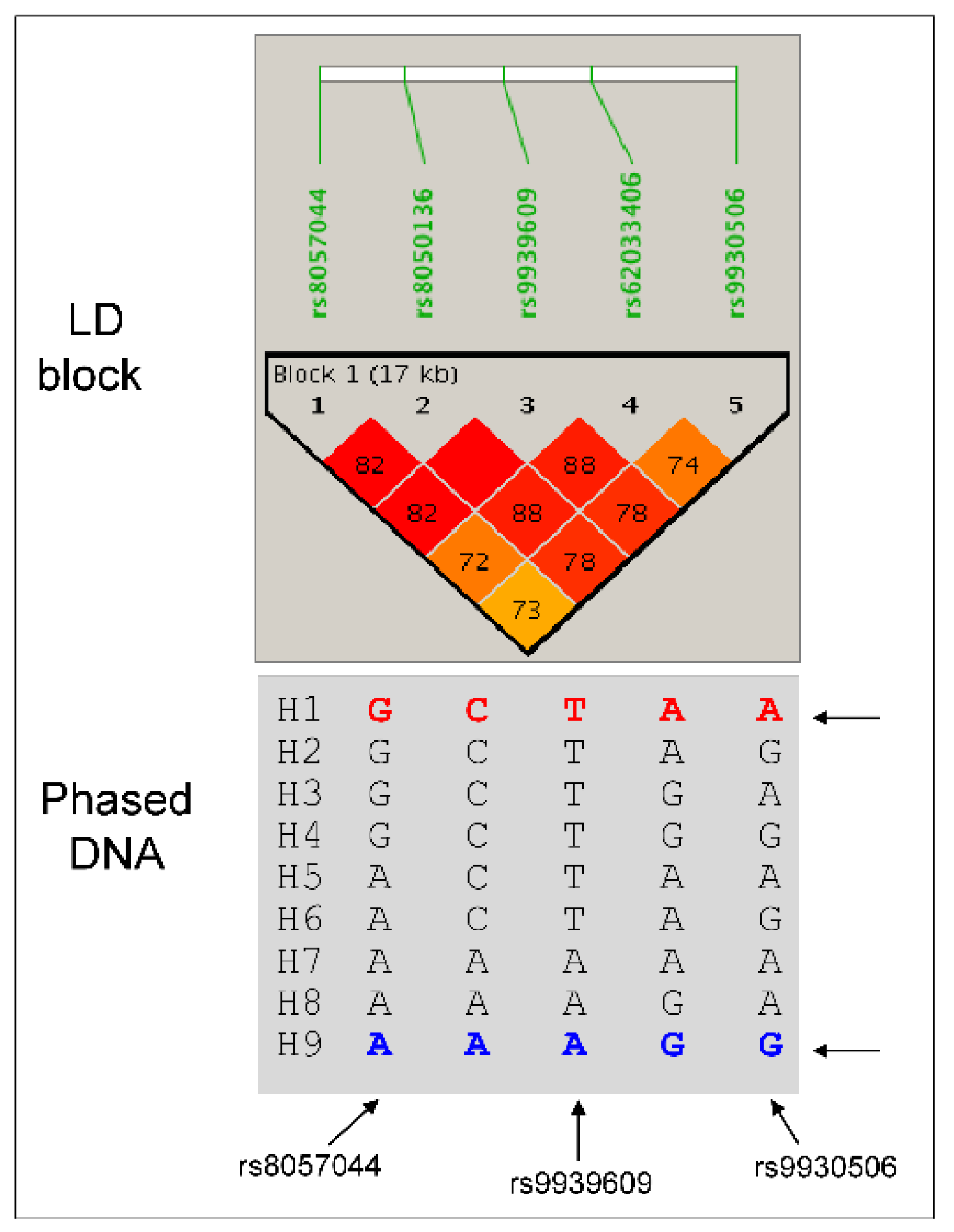 Preprints 113168 g001