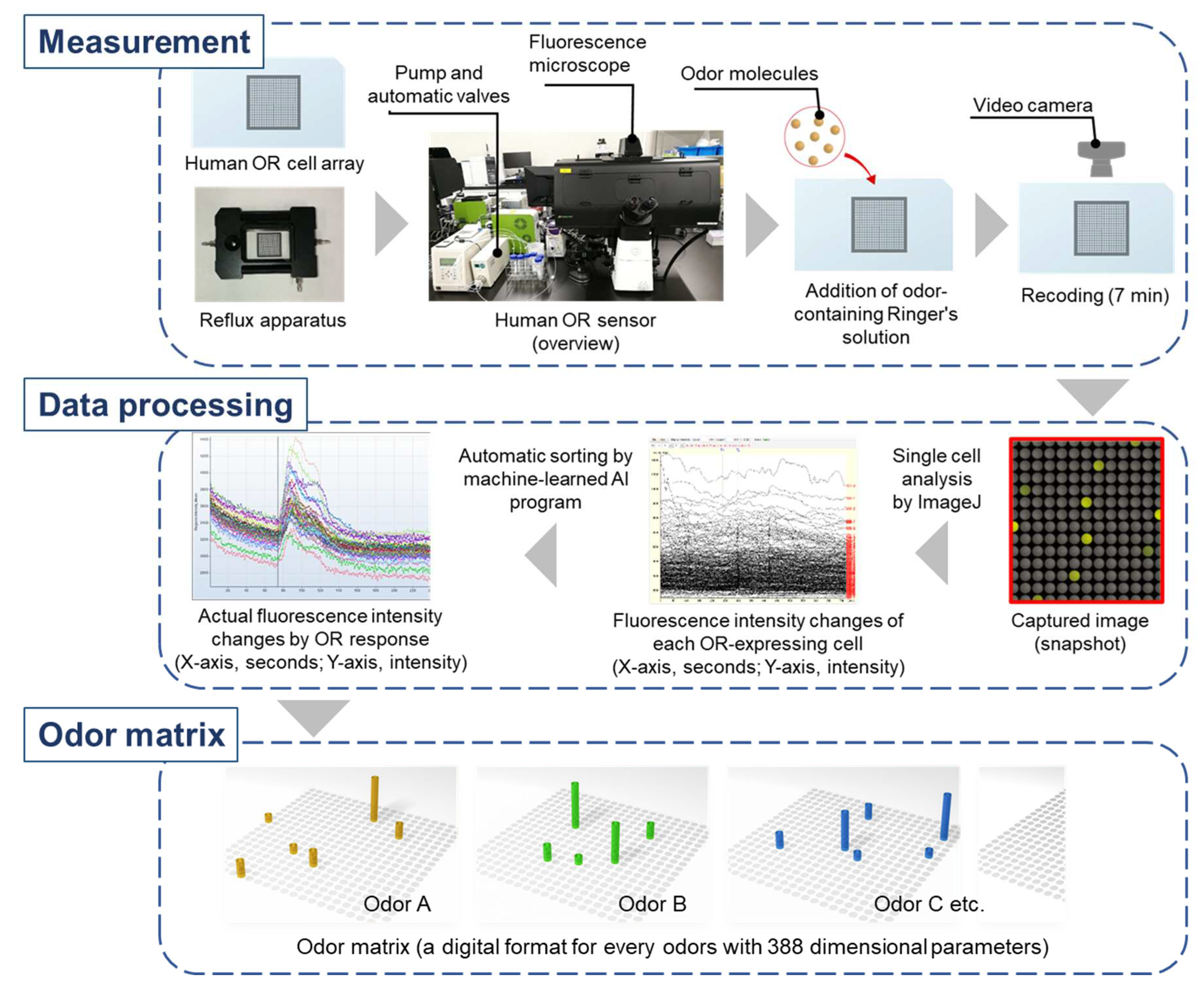 Preprints 74583 g005