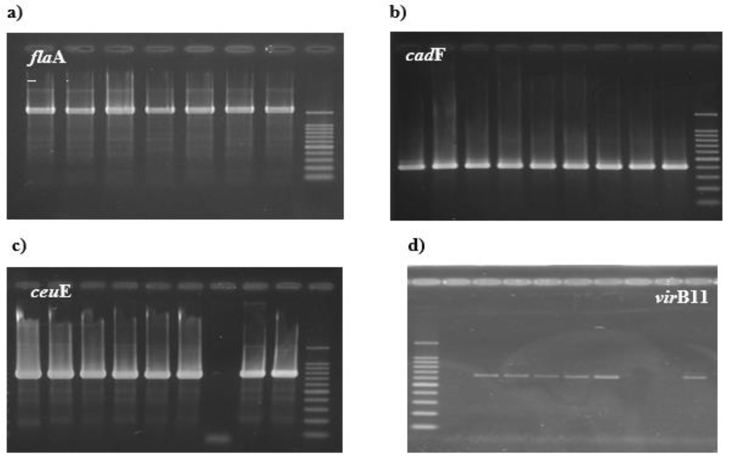 Preprints 112466 g001