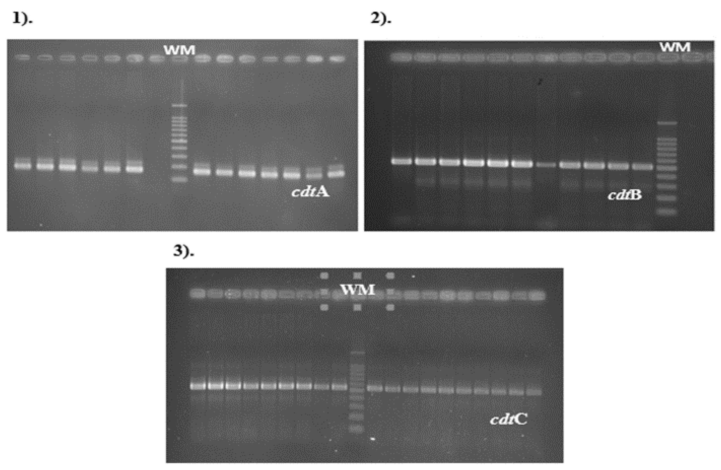 Preprints 112466 g002