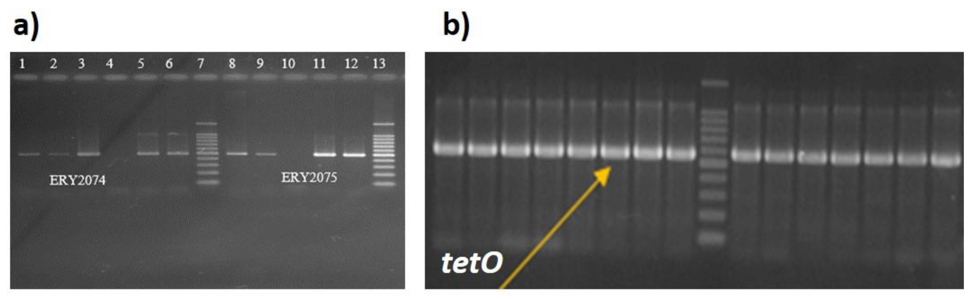 Preprints 112466 g003