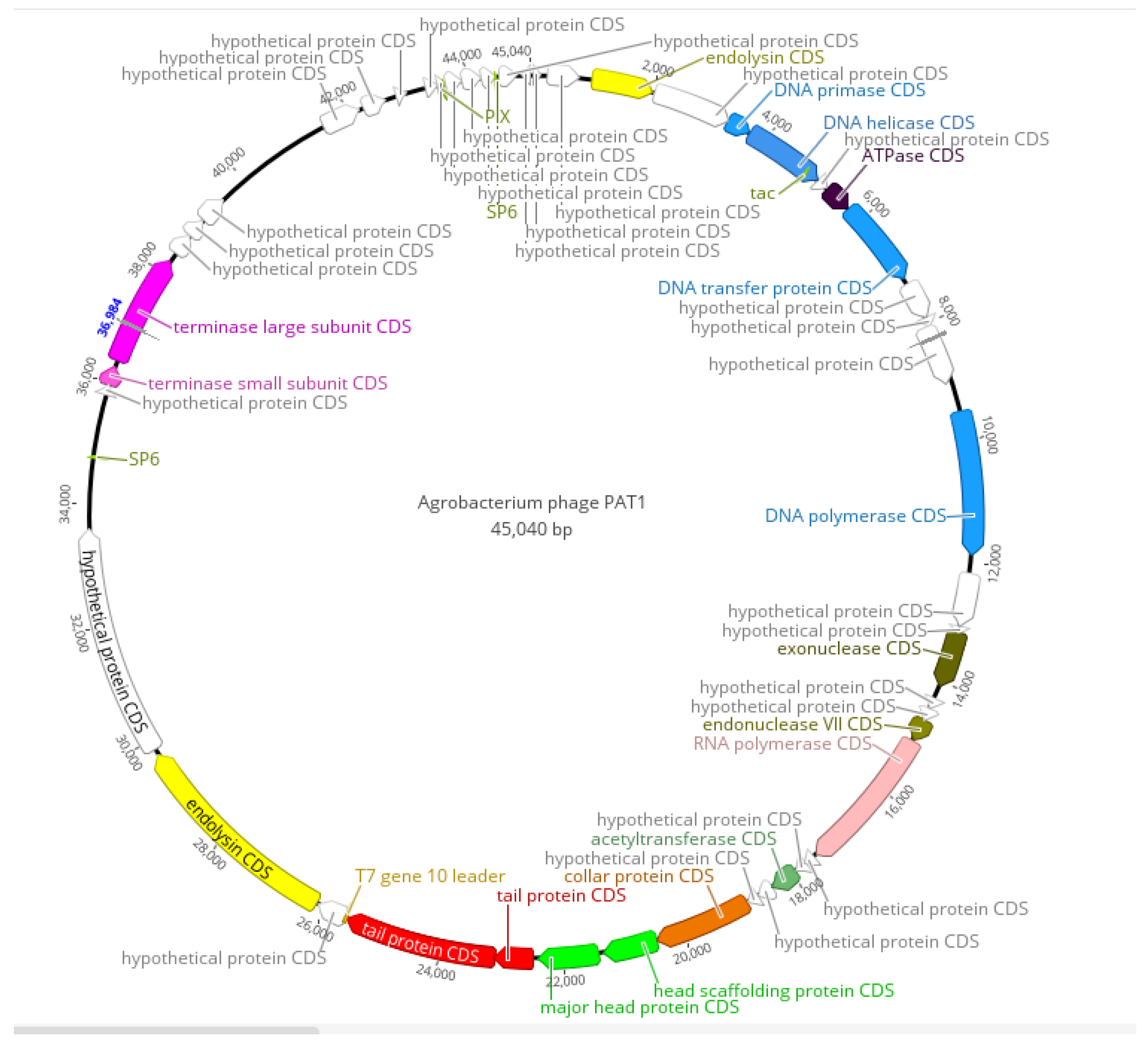 Preprints 113395 g006