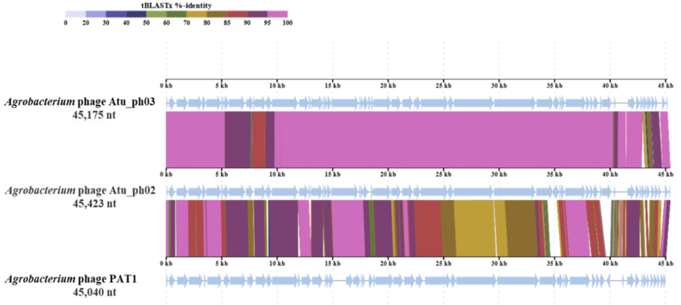 Preprints 113395 g007