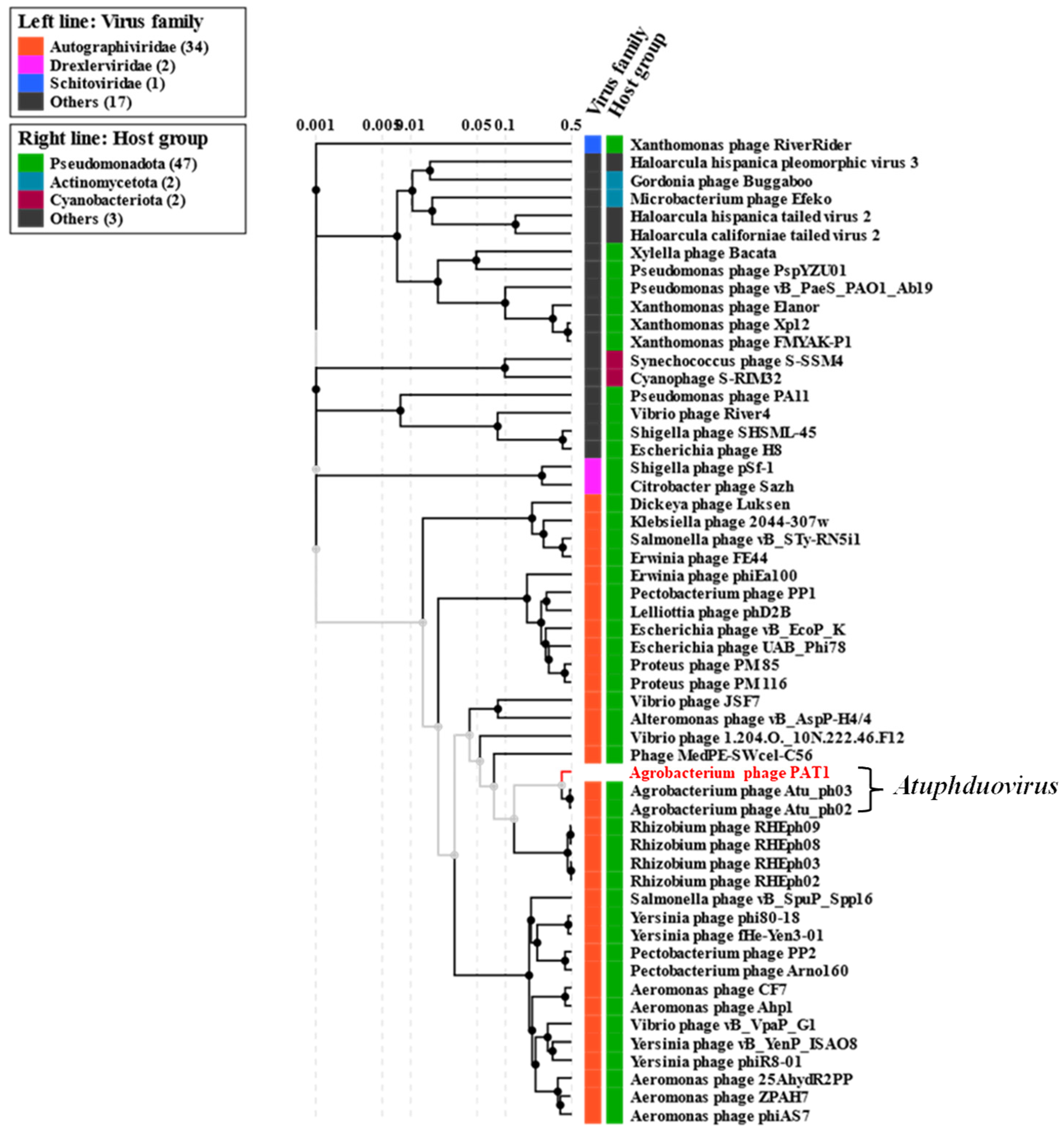 Preprints 113395 g008