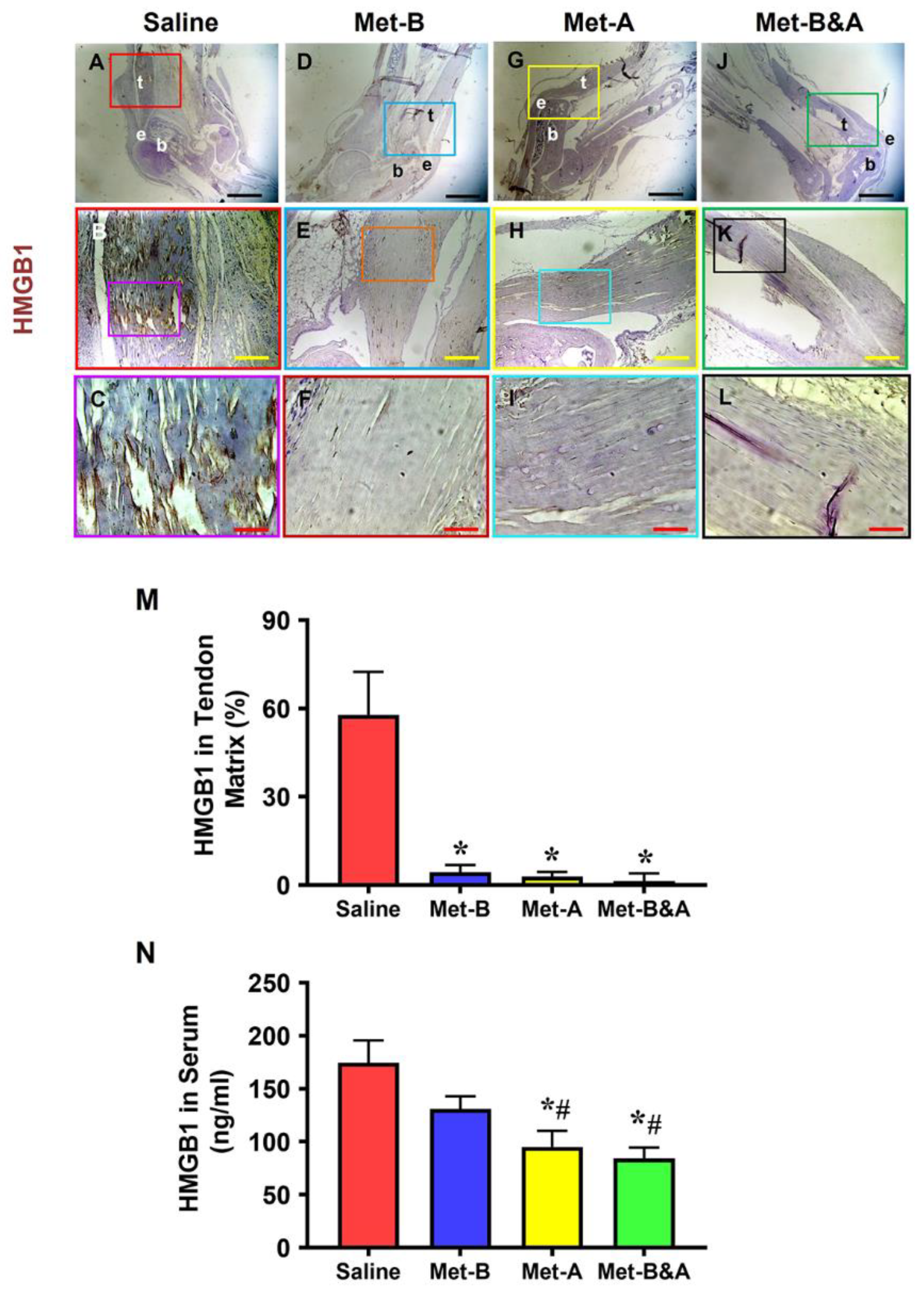 Preprints 90132 g001