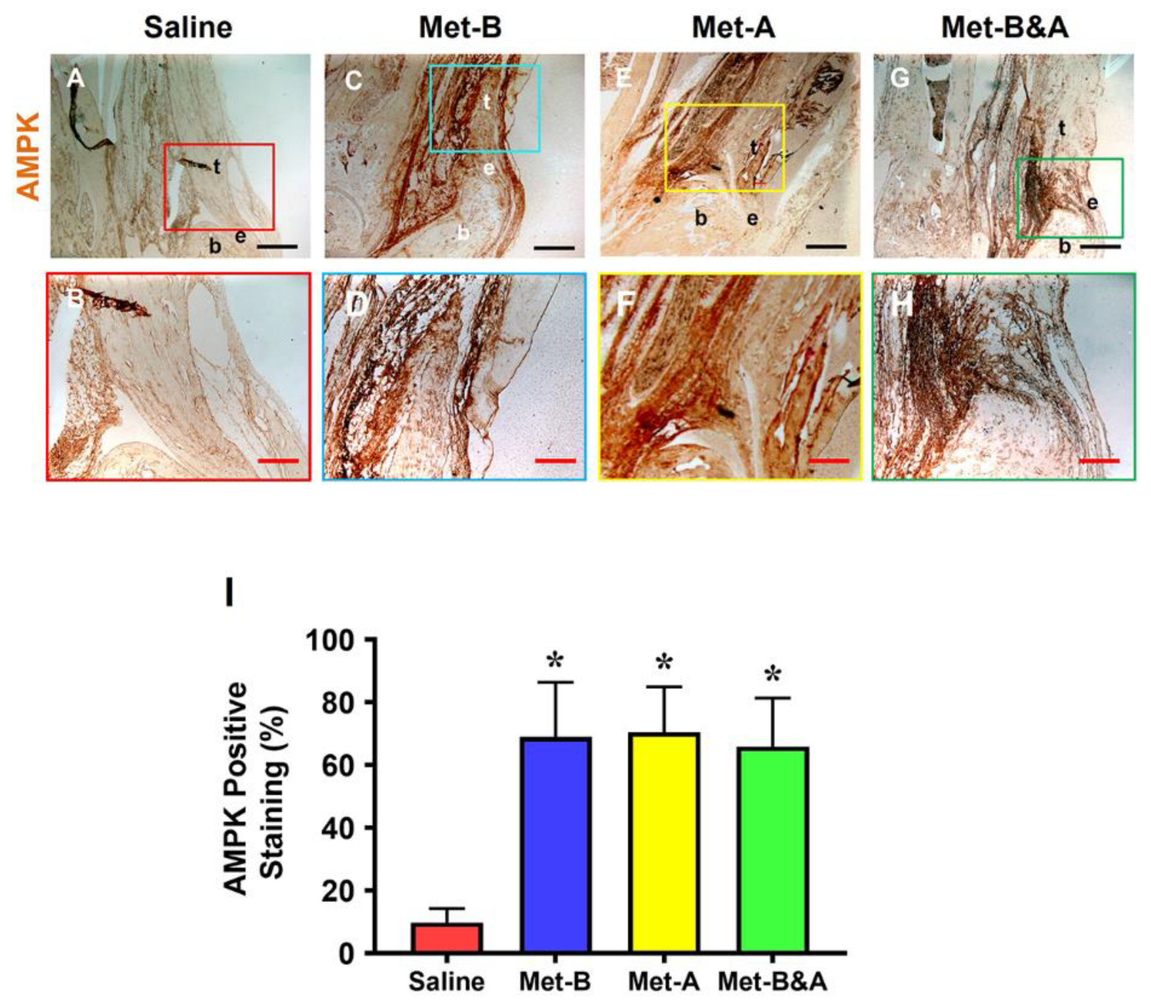 Preprints 90132 g002